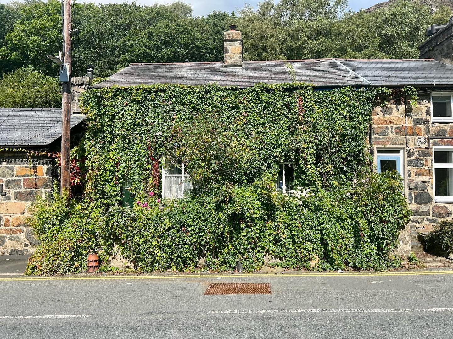 🌿 Just stumbled across the greenest oasis nestled in a charming Welsh Snowdonia village! 🏡🌲 This house radiates nature's beauty and brings new meaning to the concept of creating a green facade! 🌱🏞️ #GreenLiving #WelshWonder #NatureNest #wales #s