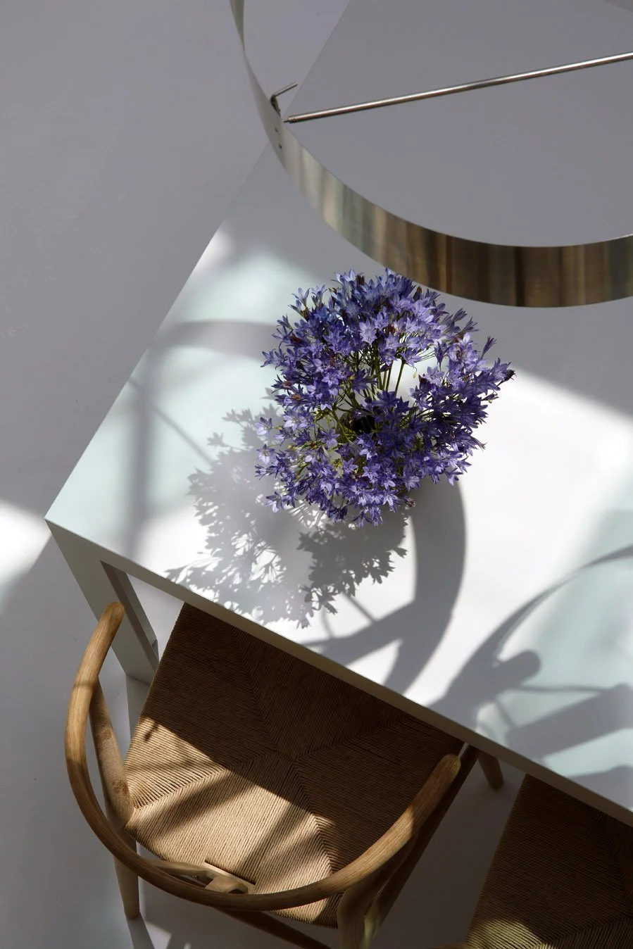 Brook Green_F8O4621.jpg