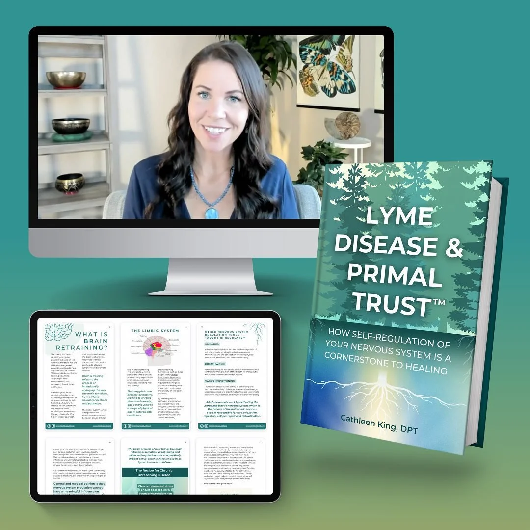 Brain Retraining for Lyme Patients: What are they and how can they help ...