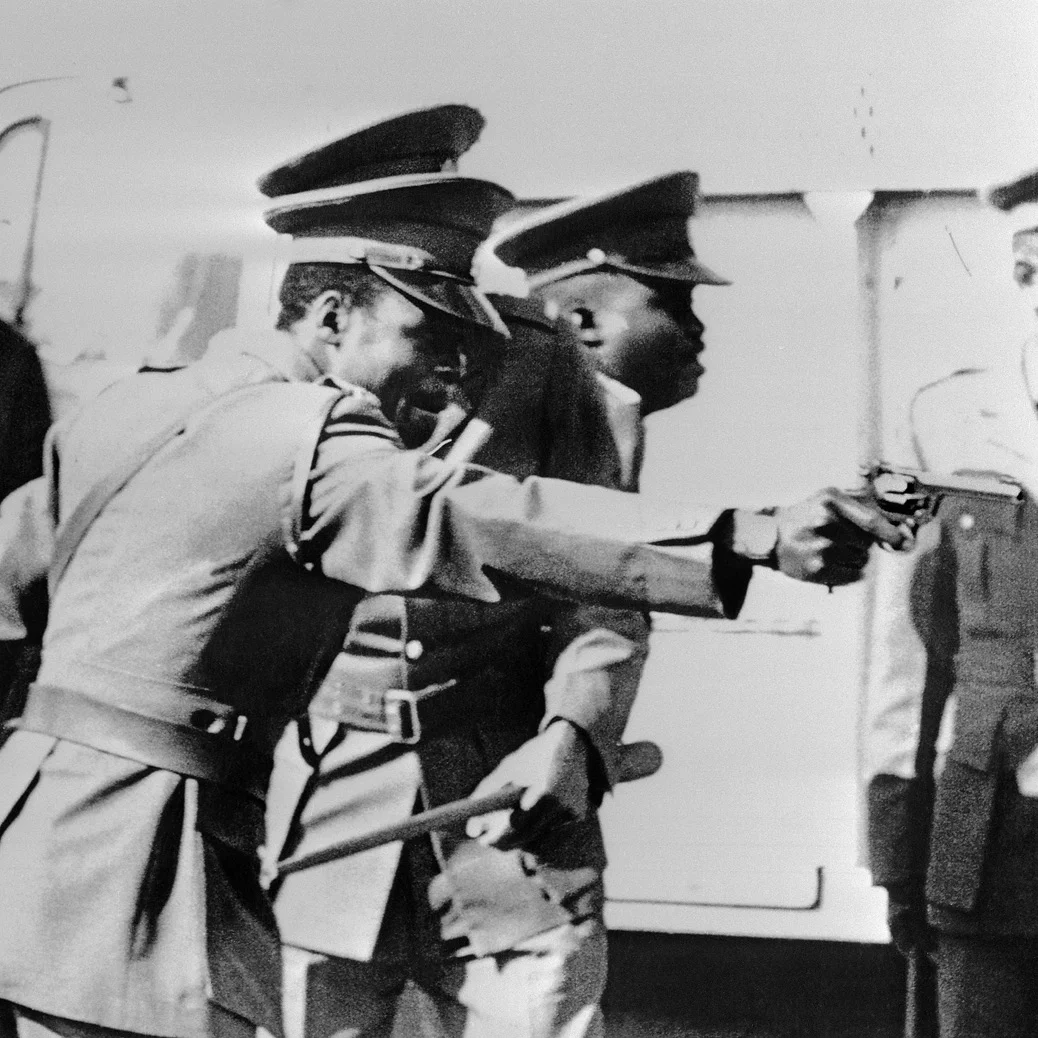 Project Images 249p11x.jpg