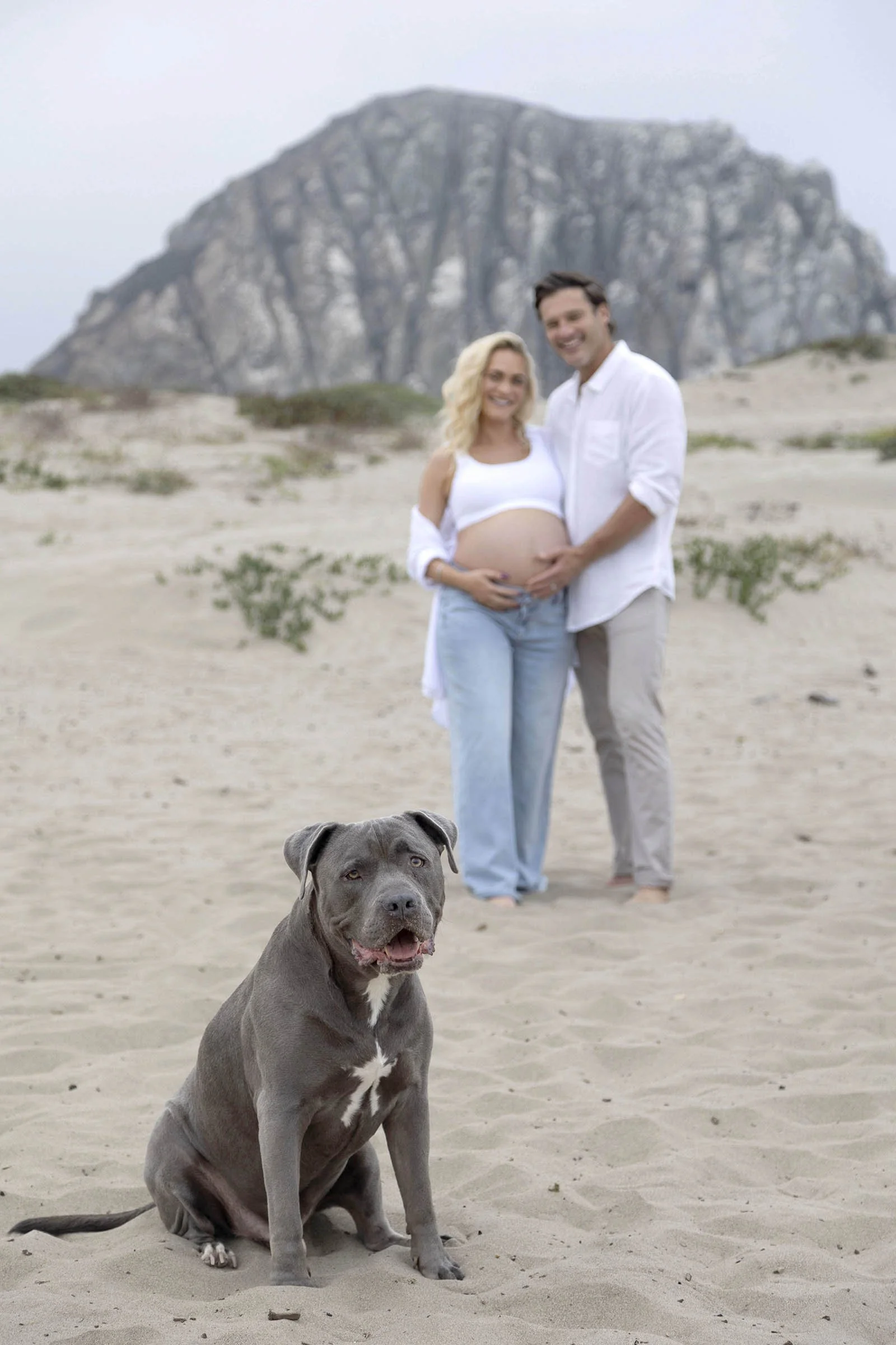A couple standing on a sandy beach with a large rocky mountain in the background, the woman is pregnant and smiling, the man is holding her belly and smiling, a gray dog with a white chest and paws sitting in the foreground looking at the camera.