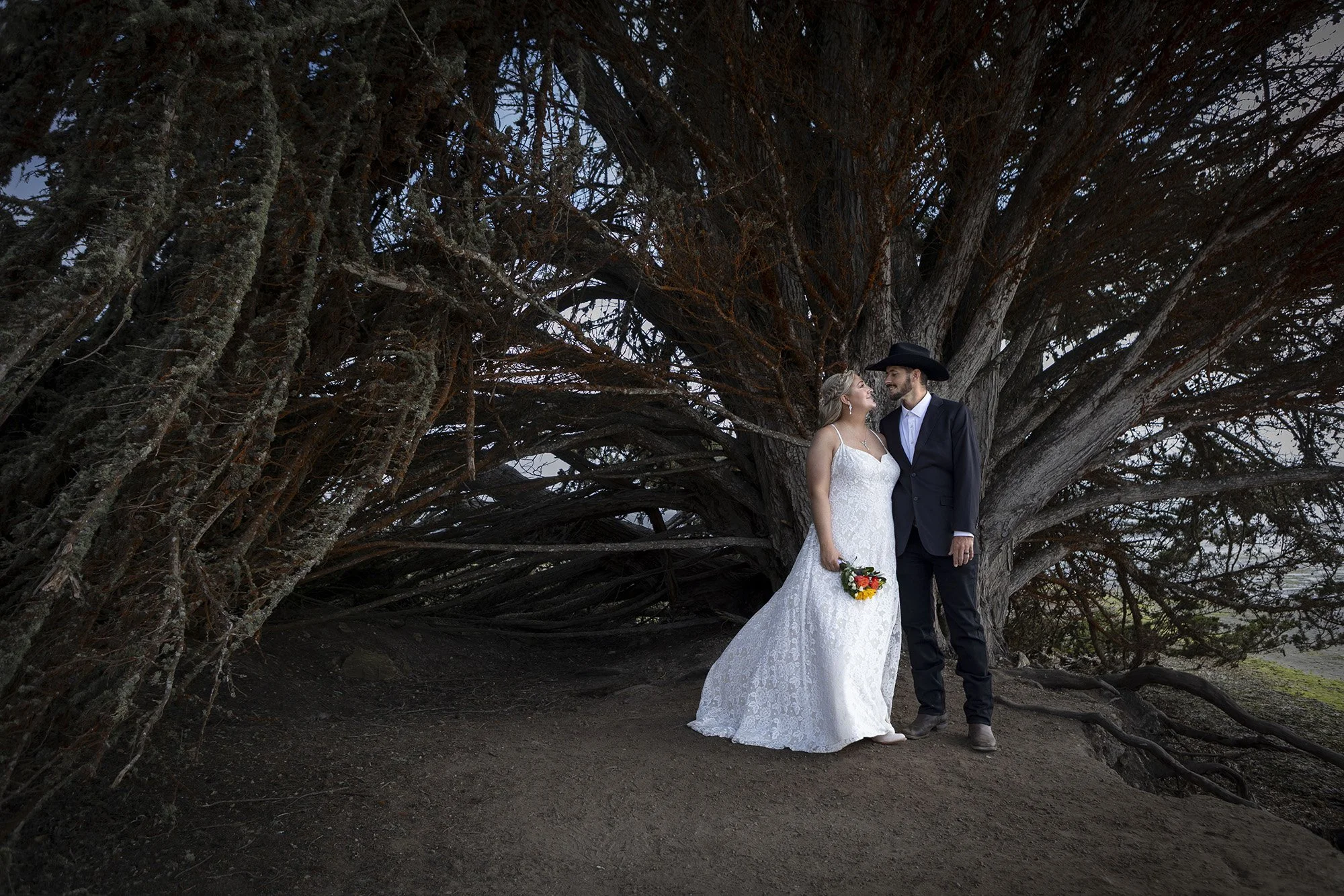 Morro Bay State Park boardwalk after intimate wedding under cypress tree
