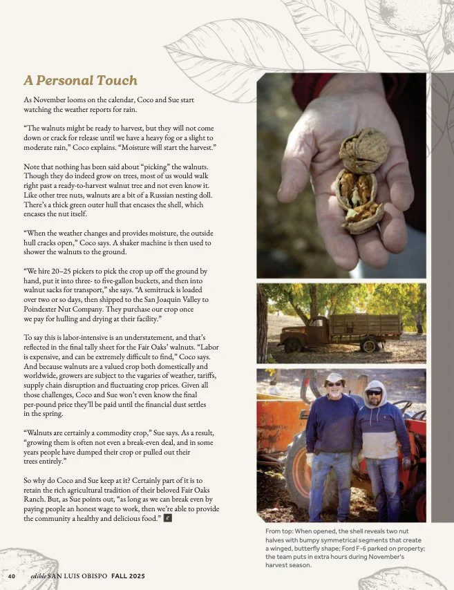Page from a magazine or book with text and three photographs related to walnut harvesting: one of a person holding a cracked walnut, another of a truck in a field, and a photo of two people in front of a tractor with a red barn in the background.