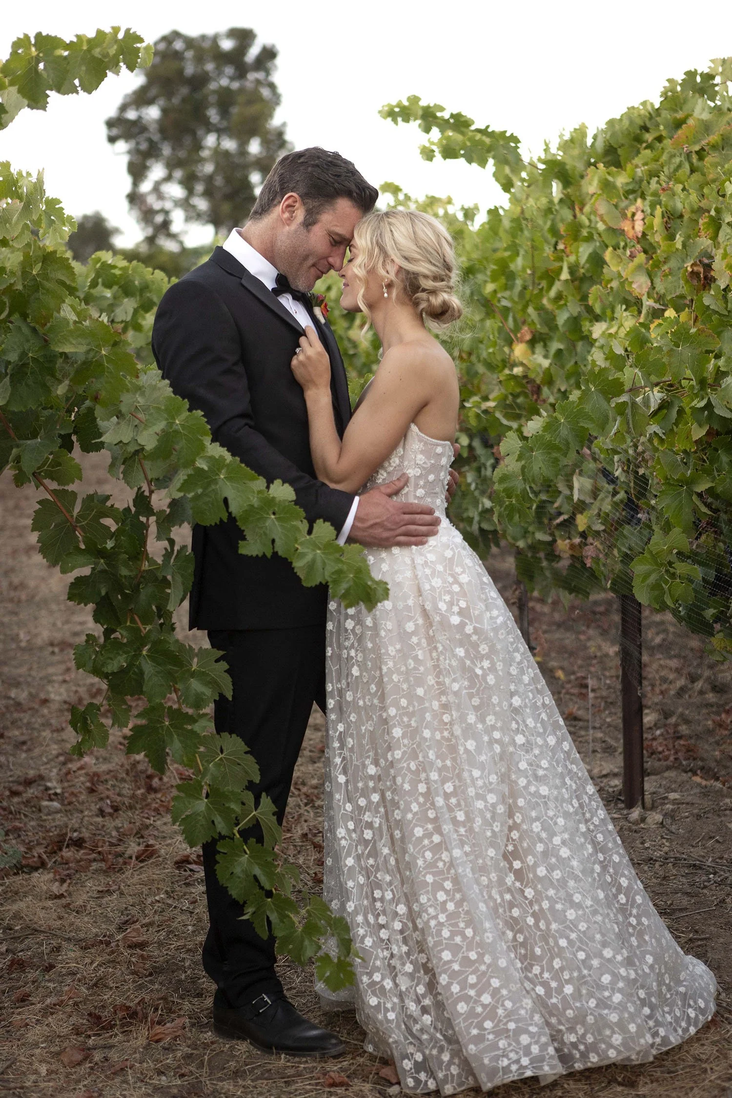 A newlywed couple dressed in wedding attire, embracing and touching foreheads in a vineyard with green grapevines.