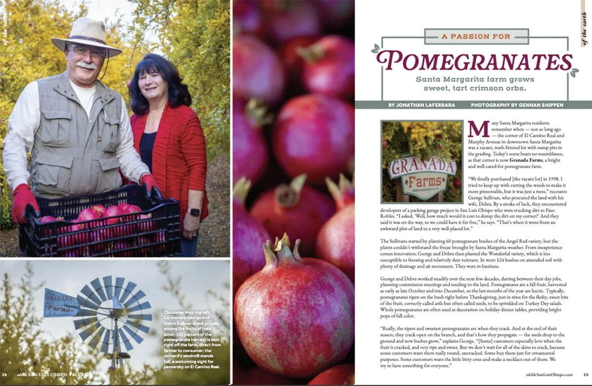 A man and a woman standing outdoors in a garden, harvesting red pomegranates from a basket, with autumn foliage in the background.