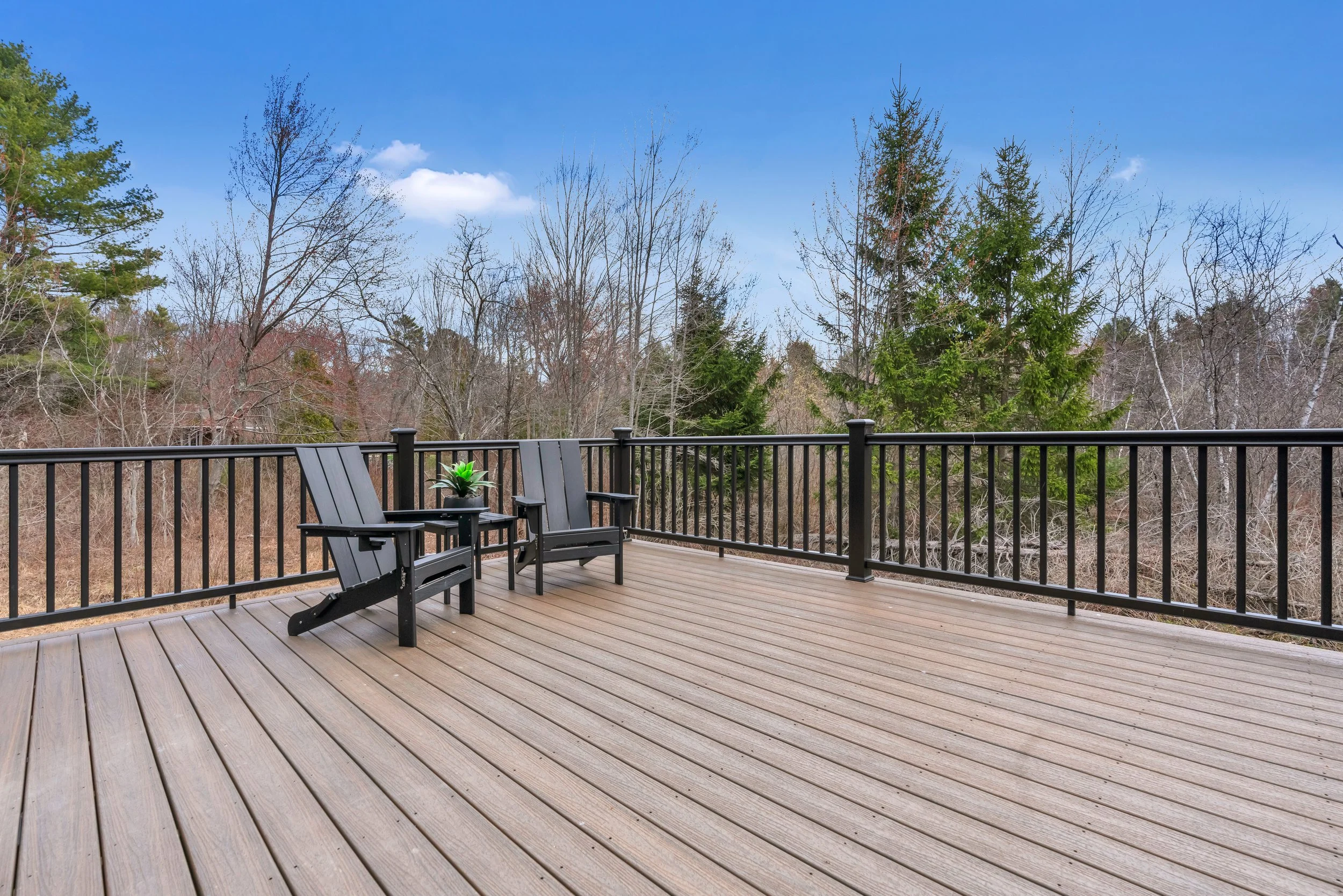 back deck 2.jpg