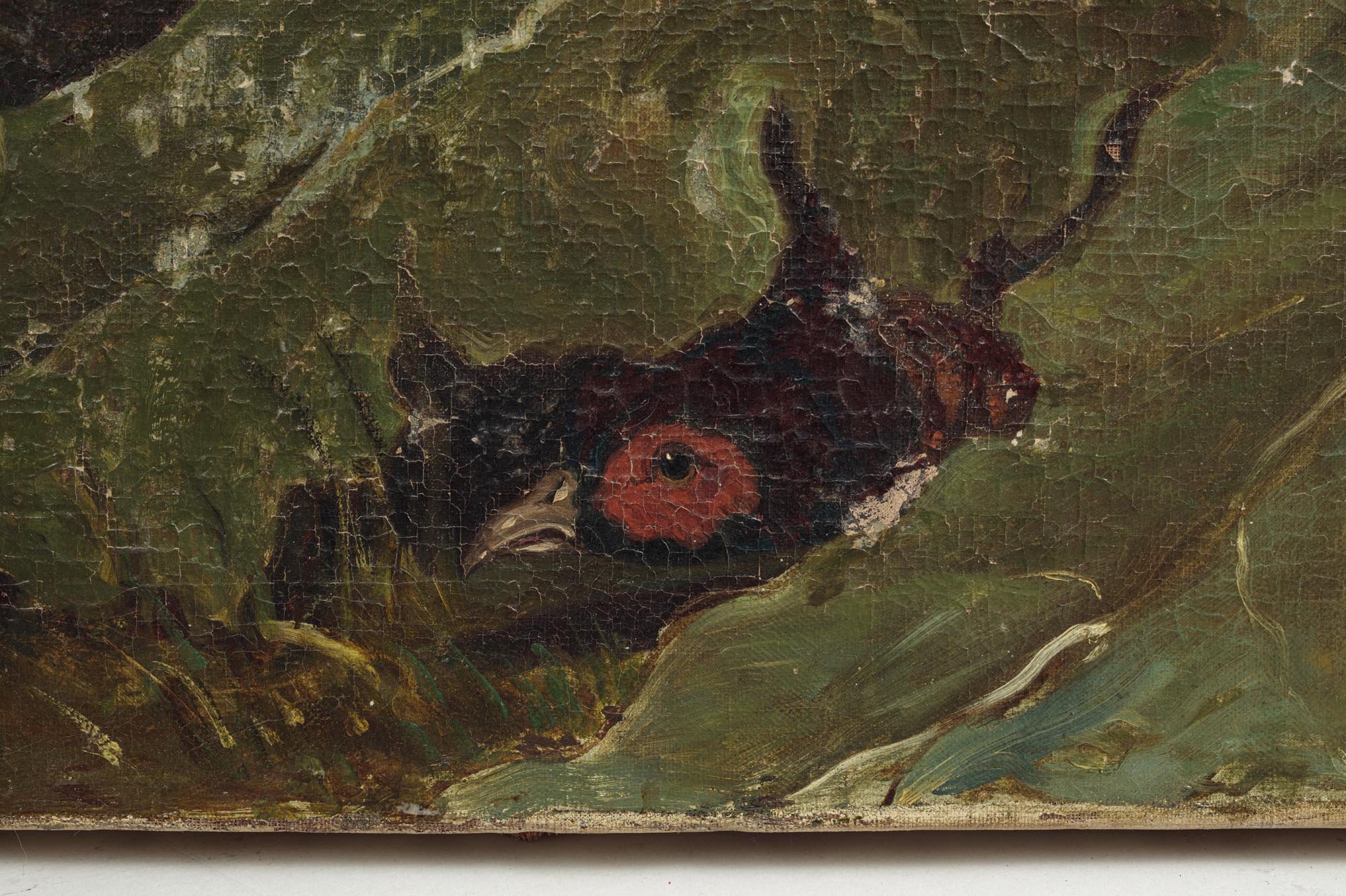 peinture chiens et faisan vue faisan.jpg