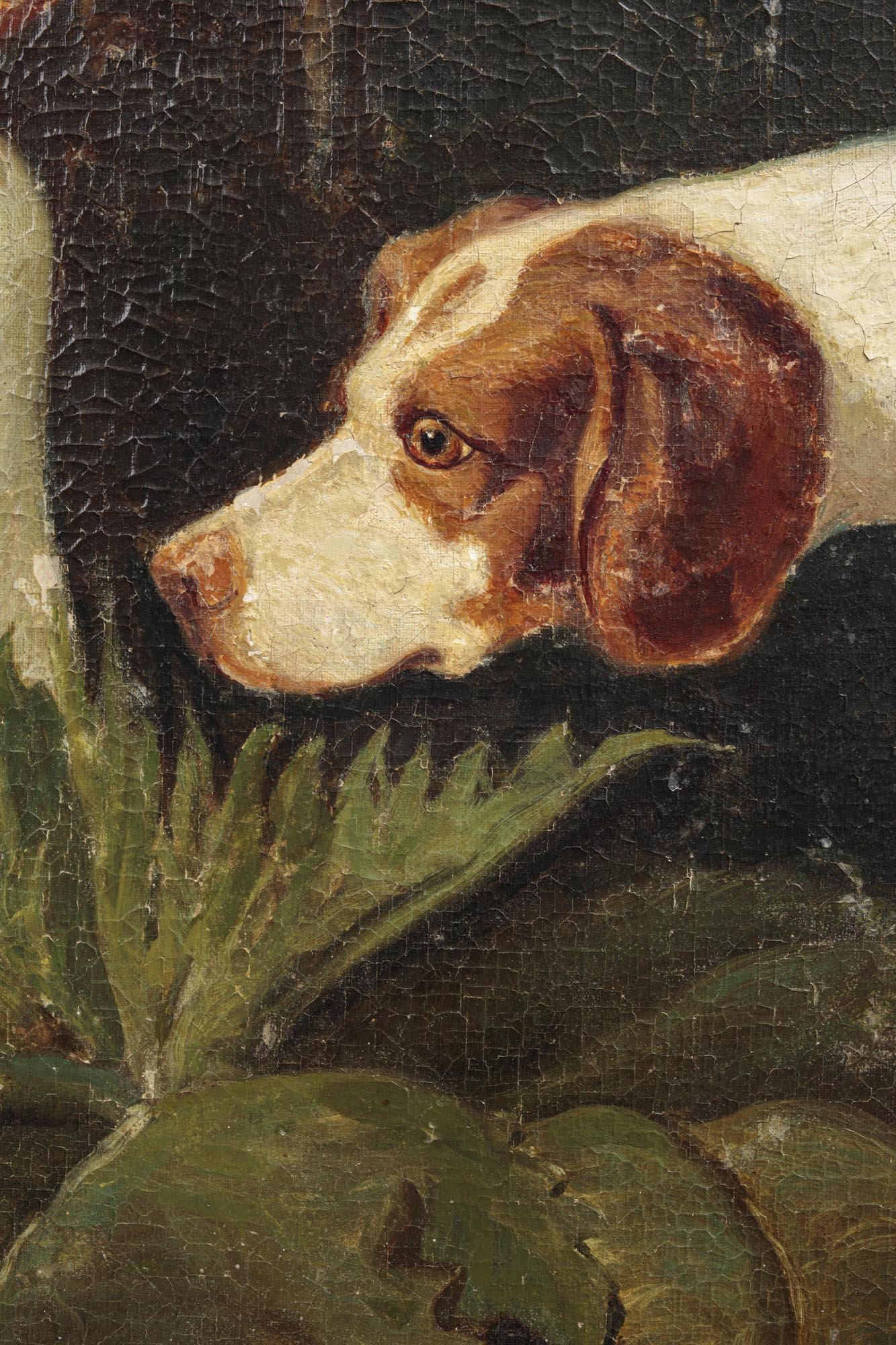 peinture chiens et faisan détail chien 1 (1).jpg