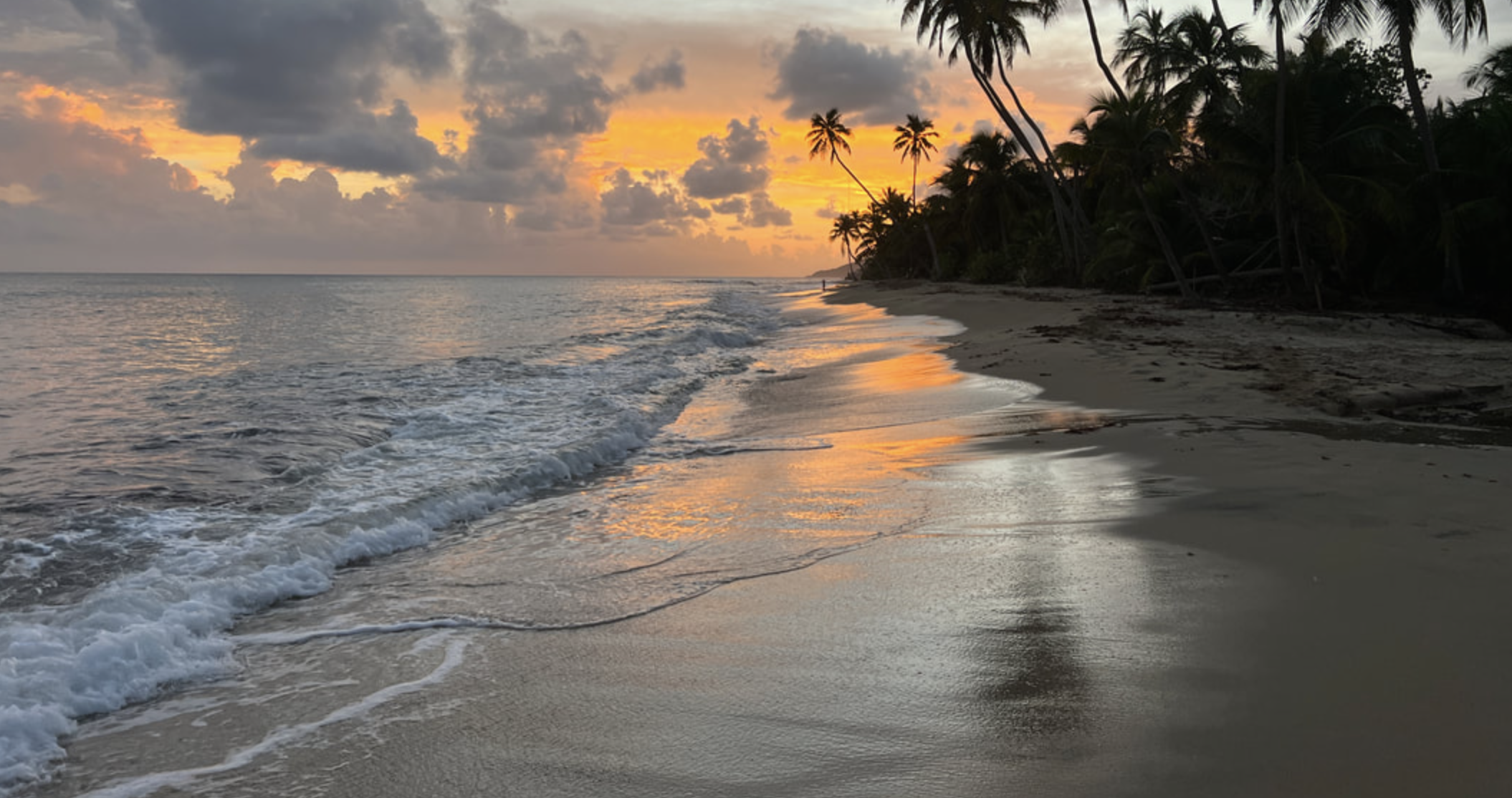 Sunset over a beach with palm trees, gentle waves, and reflection of the colorful sky on the wet sand.