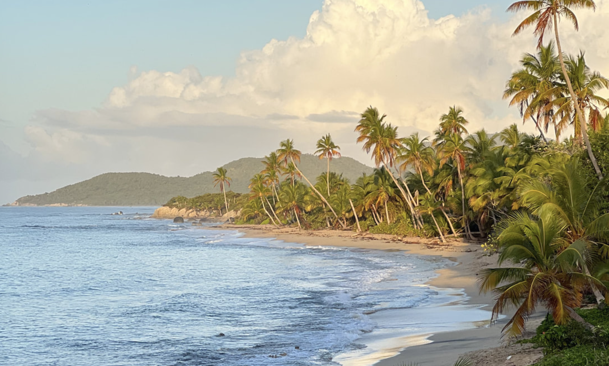 Tropical beach with palm trees, sandy shoreline, calm ocean water, and a distant green hill under a partly cloudy sky.