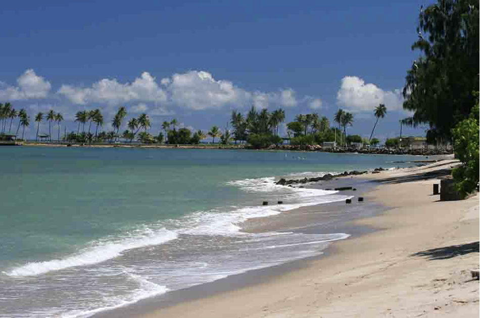 Tropical beach with sandy shore, turquoise water, palm trees, and a partly cloudy sky.