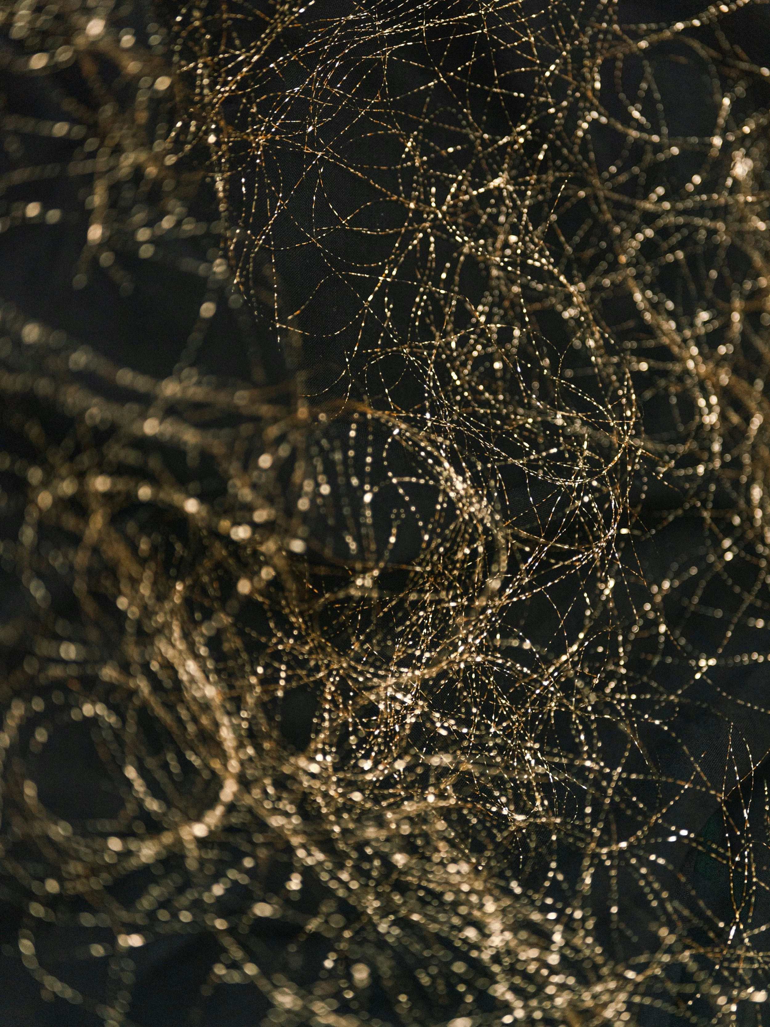 What Is Your Nervous System Actually Trying to Tell You?