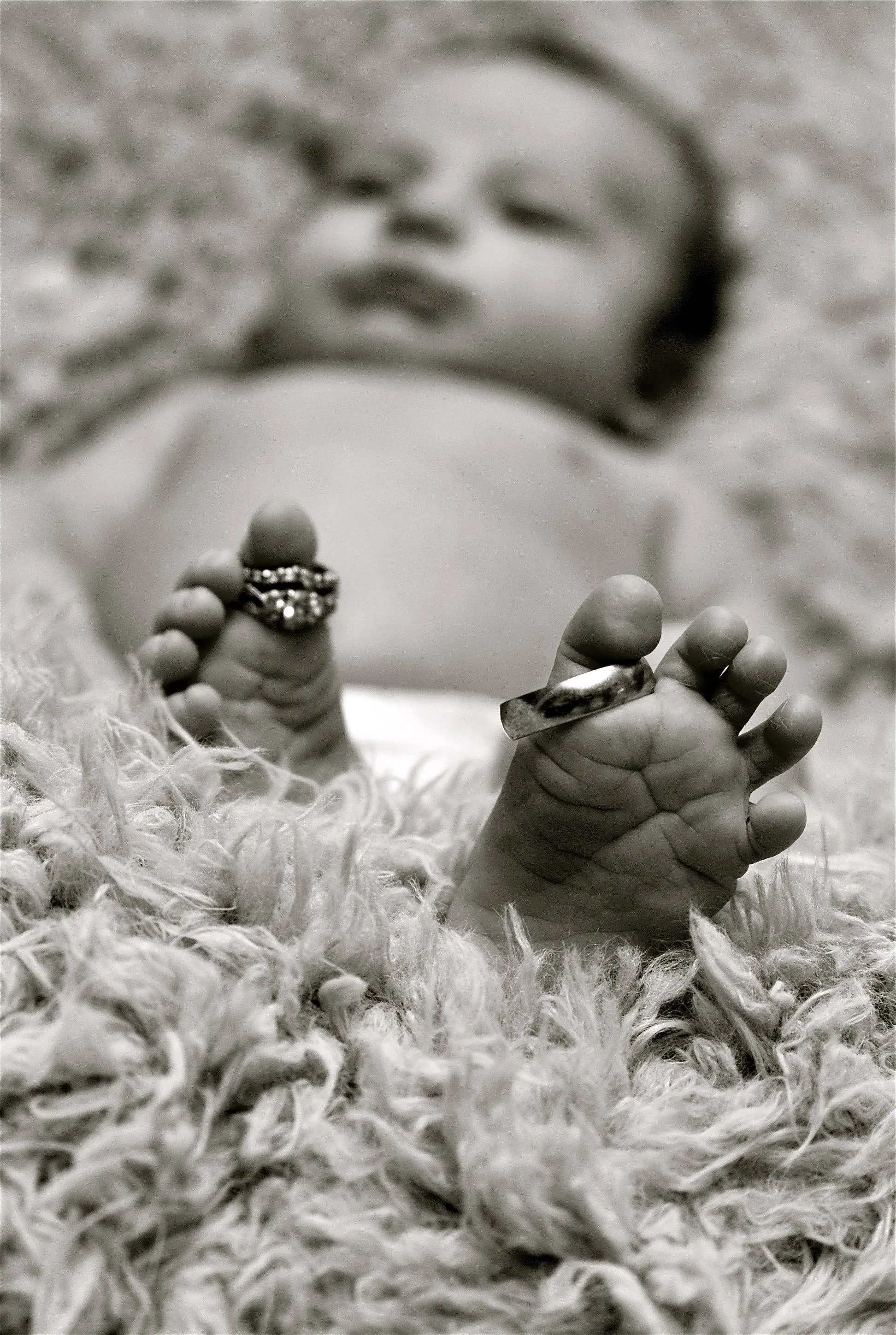 DSC_5131 - Version 2.jpg