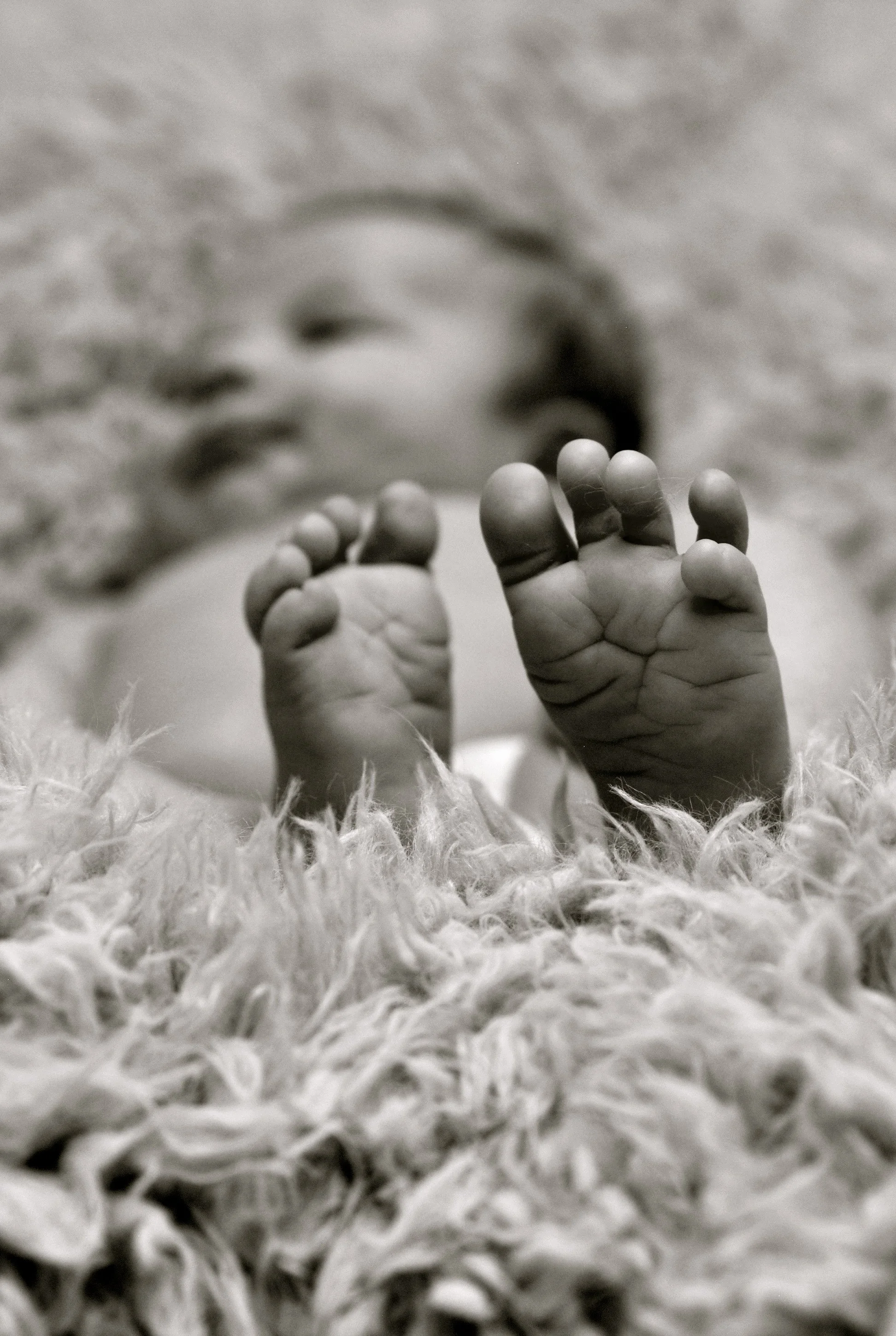 DSC_5117 - Version 2.jpg