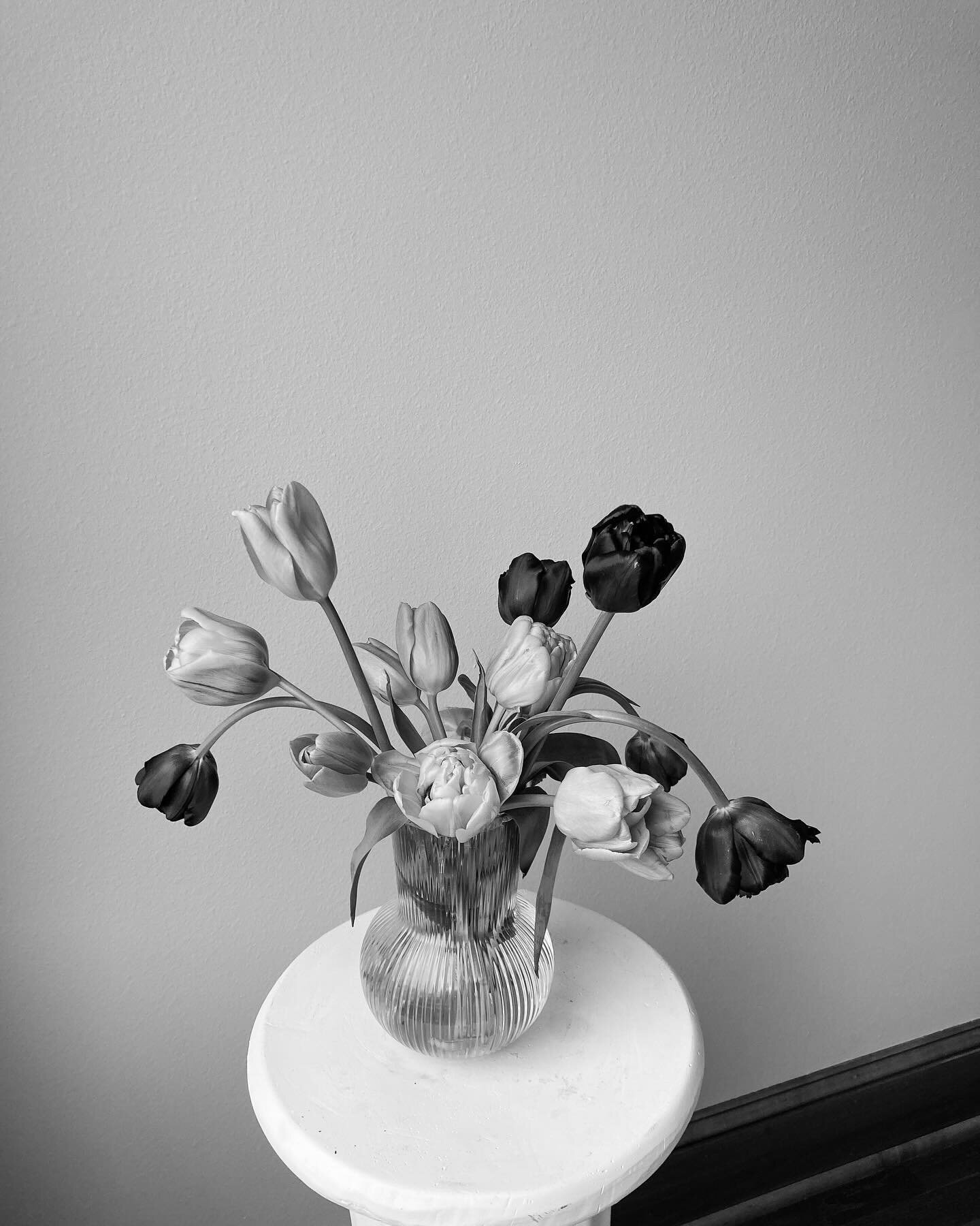 Just a black and white of some tulips because it&rsquo;s simple and pretty and I wanted it to live forever on my feed. That&rsquo;s all. Have a great day. 🎀