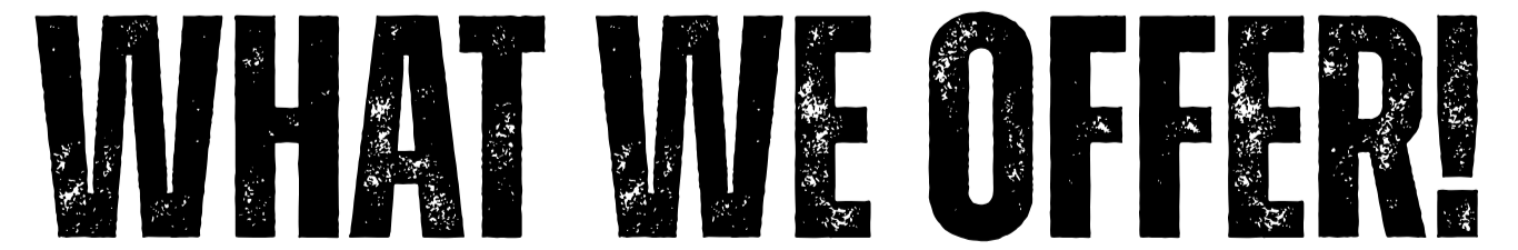 Text reading 'WHAT WE OFFER!' in bold, distressed black letters on a white background.