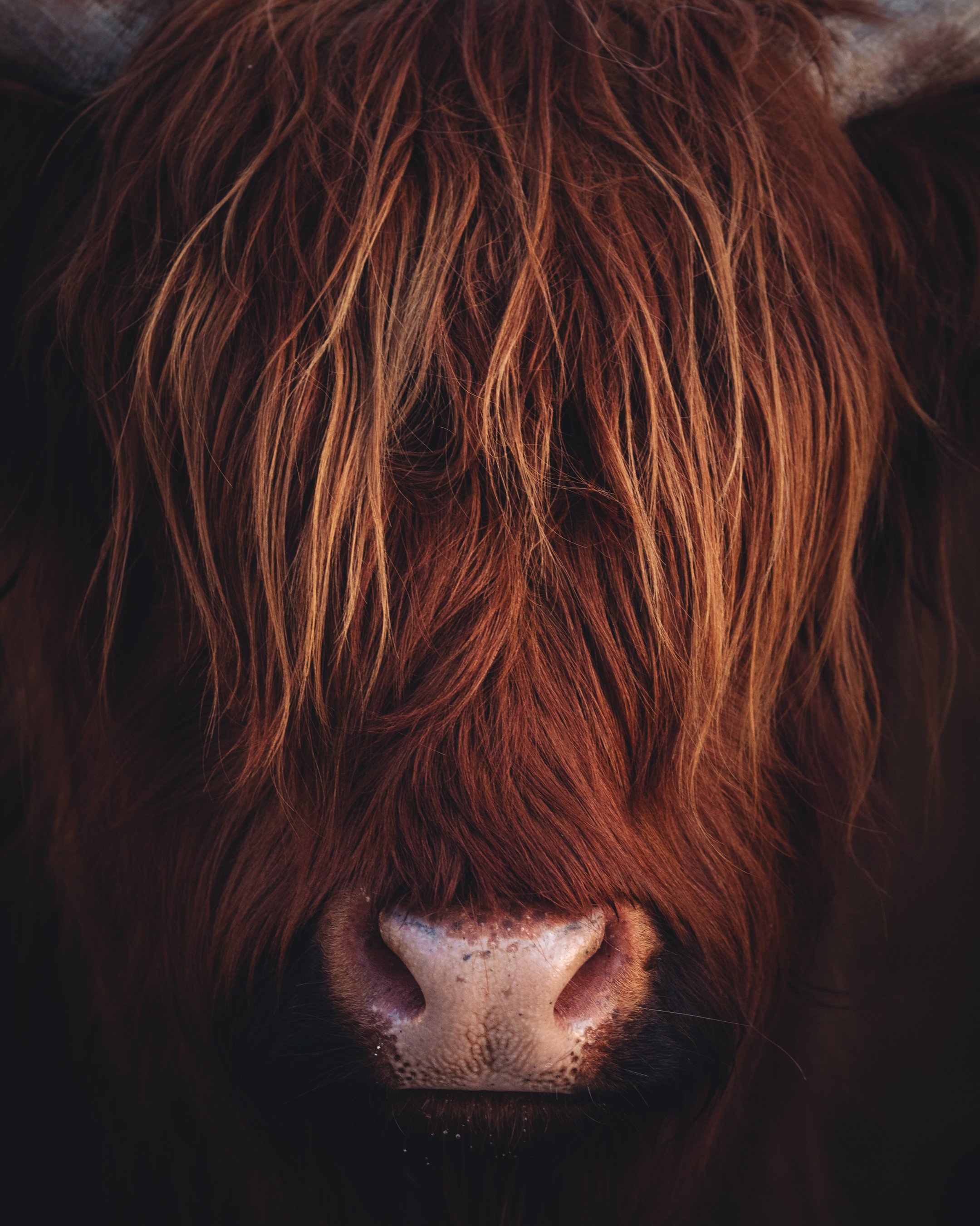 instagram-1-3 11.jpg