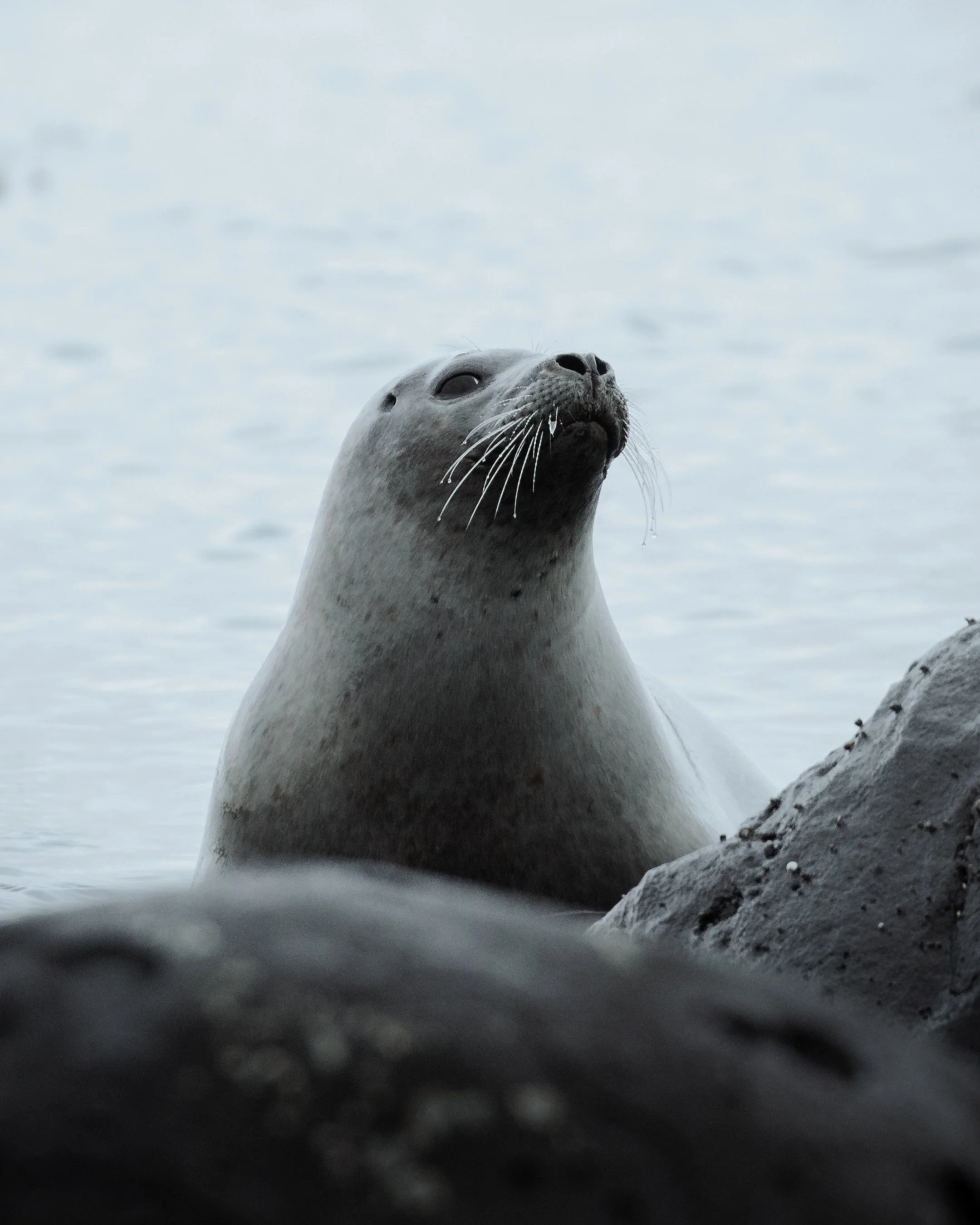 instagram-1-3 521.jpg