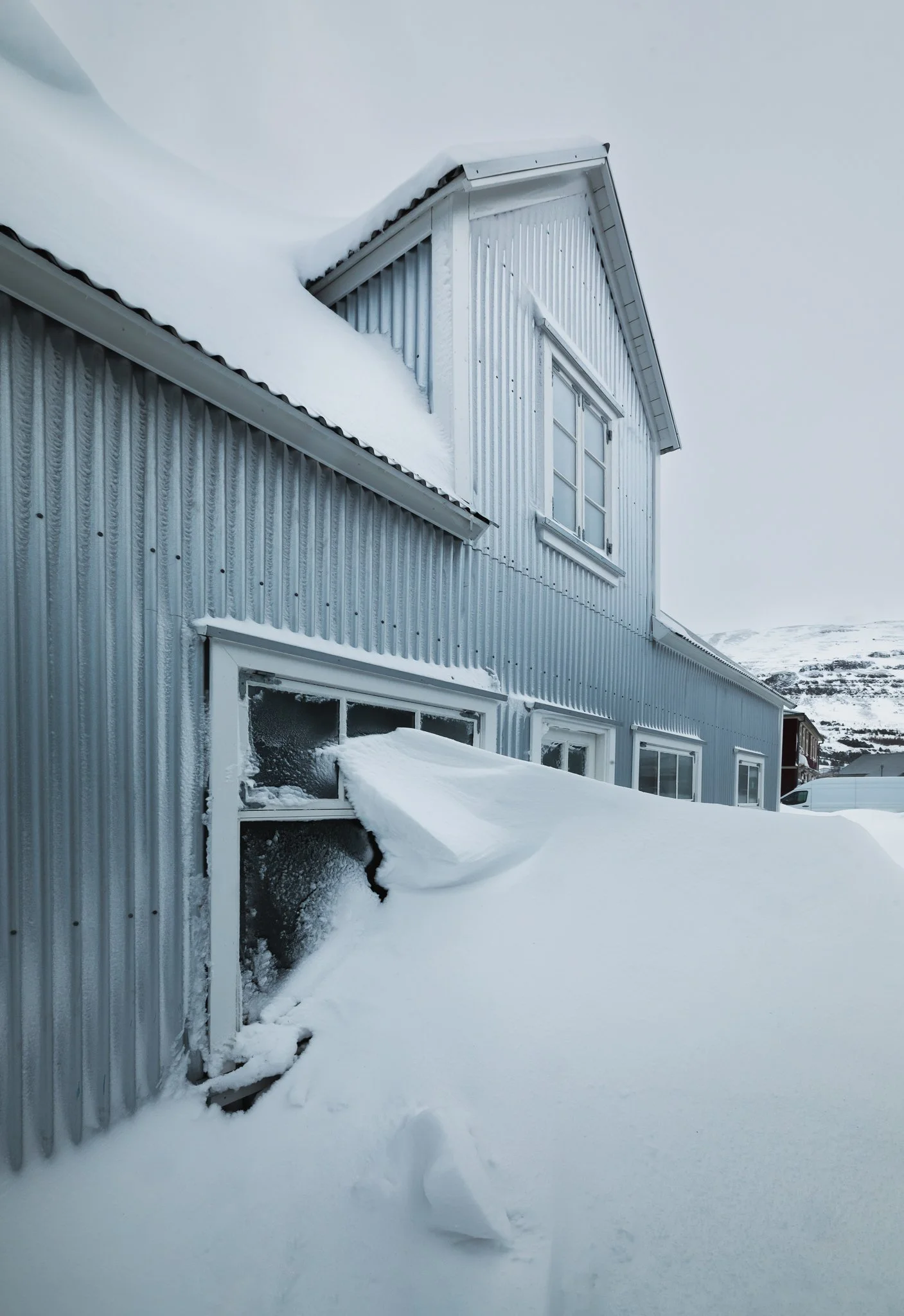 web adelaauriga-15.jpg