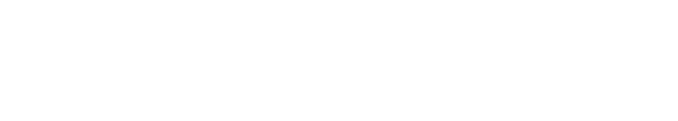 VC Wiesbaden Spielbetriebs GmbH VCW Volleyballclub Eventmarketing Eventplanung Gästemanagement Projekt SPE Agency