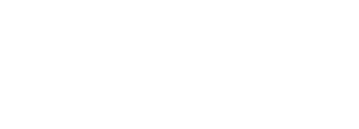 VC Wiesbaden Spielbetriebs GmbH VCW Volleyballclub Projekt SPE Agency