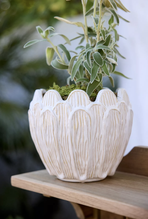 Petal Stoneware Pot 