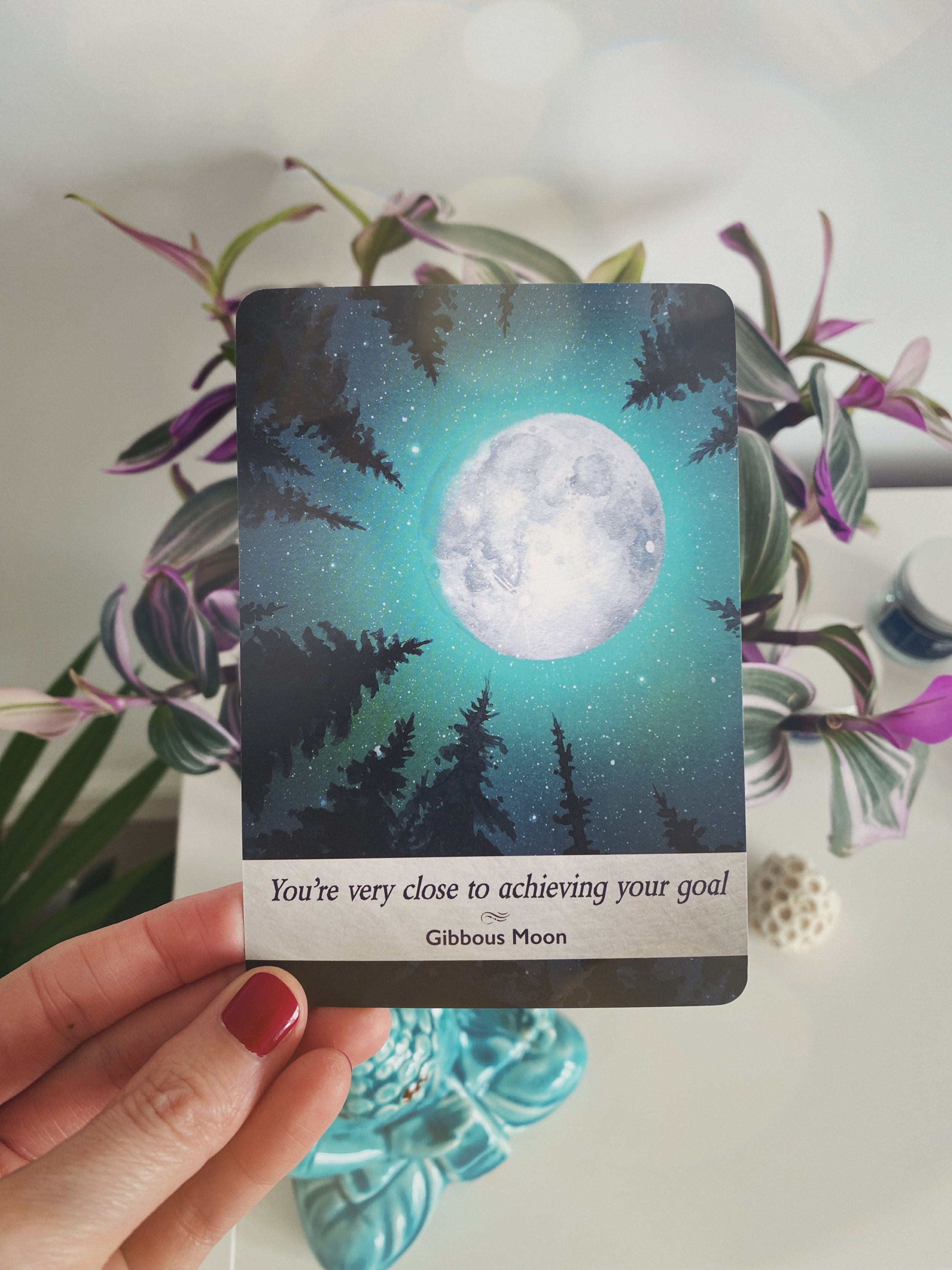 Tarot Cards vs. Oracle Cards What are the Differences? — Lavender Grove