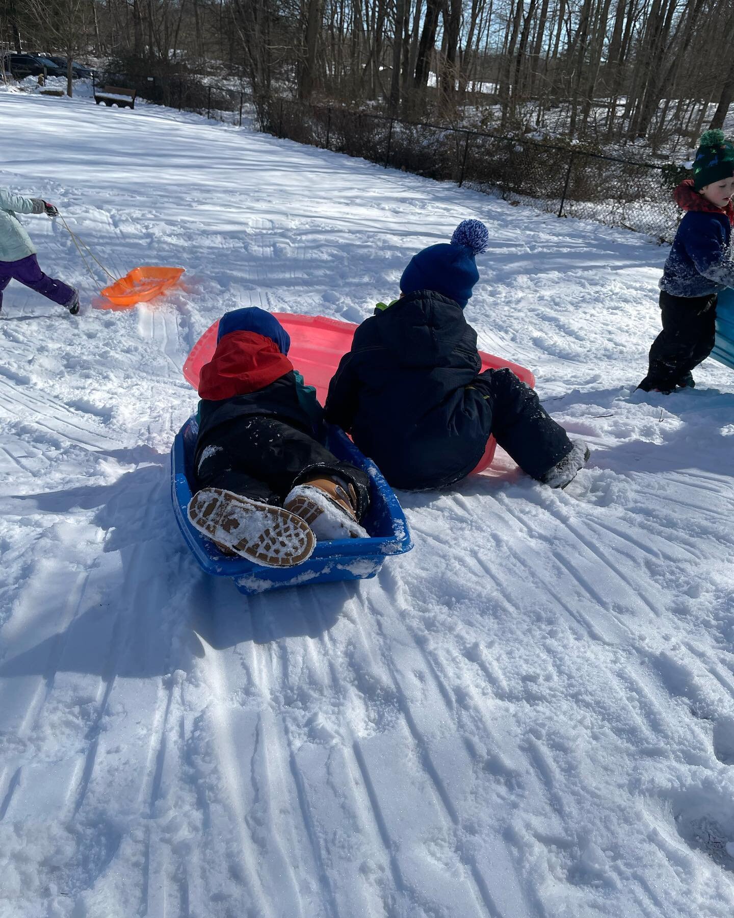 Science & Nature Center — Nursery School of Westchester