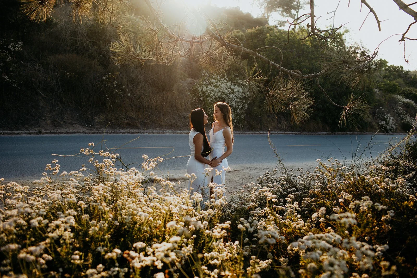 Torrey Pines LGBTQ Adventure Wedding Portraits in San Diego, California