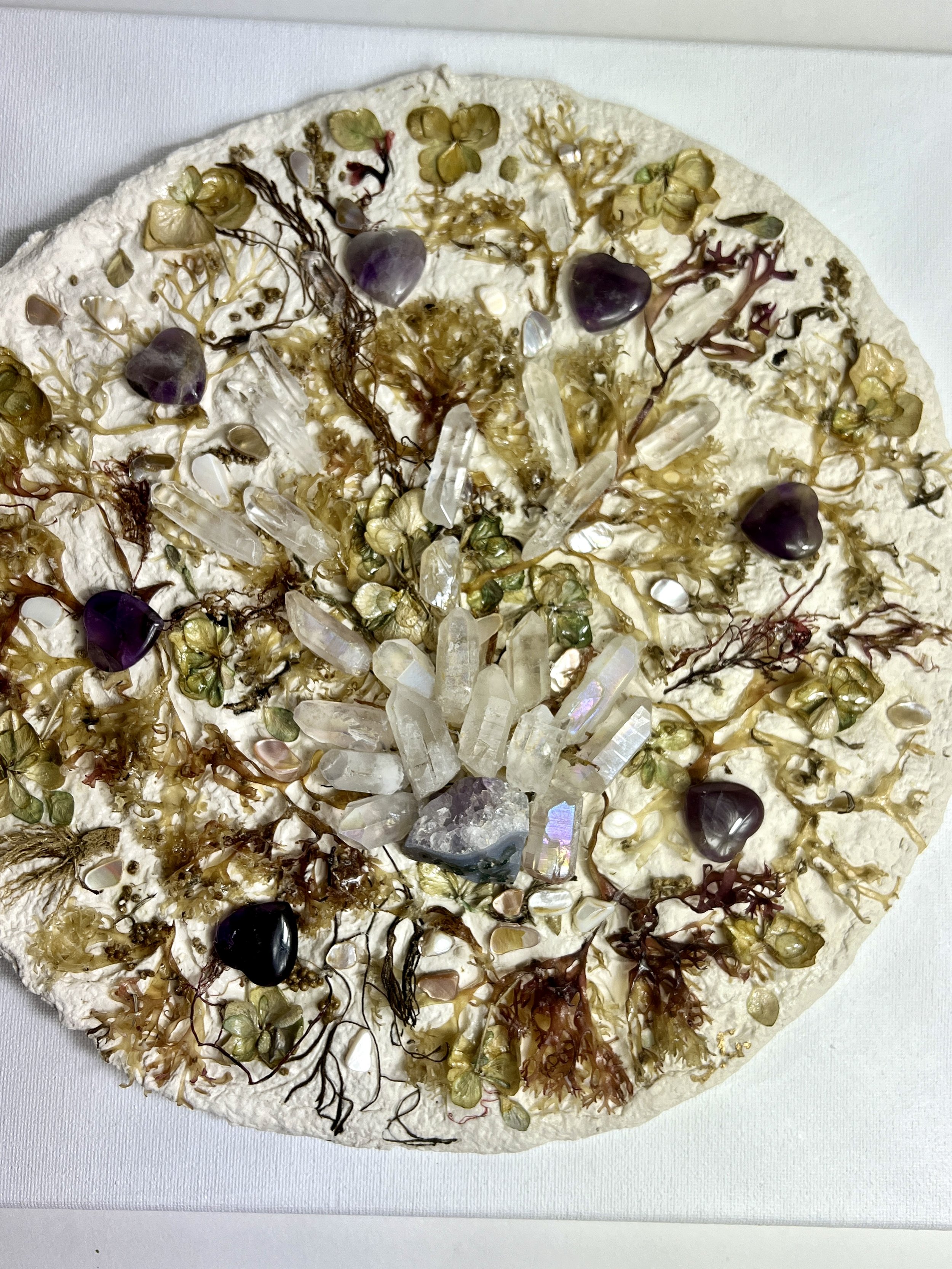 Atlantic Ocean Seaweed Wall Art #1