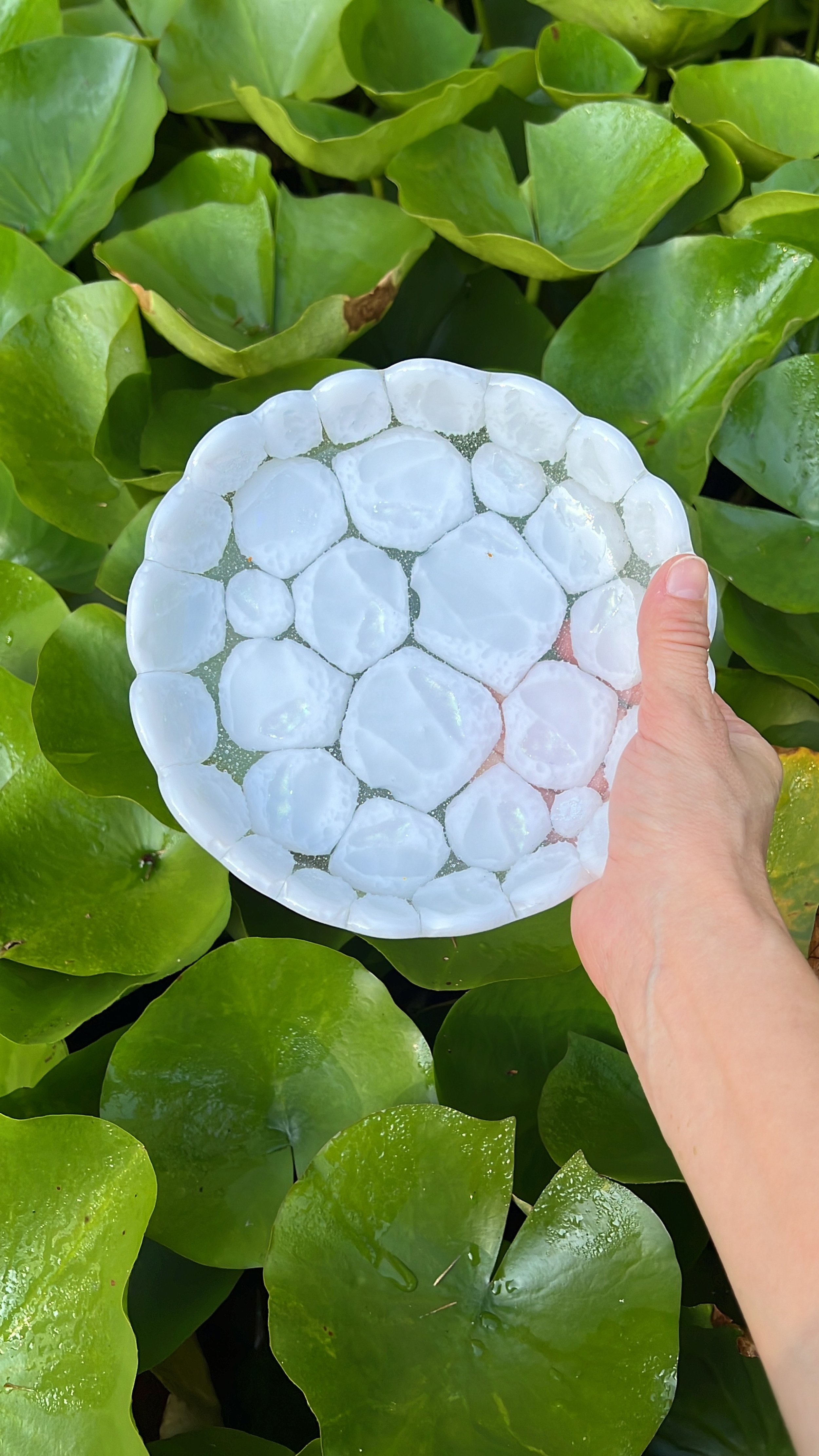 “Snow & Ice” - Fused Glass Plate