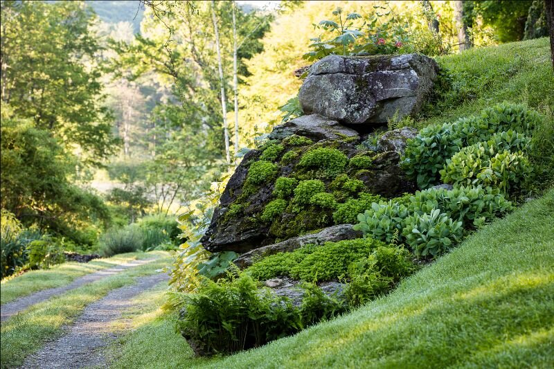 Our Virtual Innisfree Garden Class Series with Brad Roeller starts on Tuesday afternoon! 
Join us for either a single virtual class or the full series.

Class 1 | Site Analysis and Plant Selection March 19th, 1:00 PM - 2:00 PM
Class 2 | Successful La