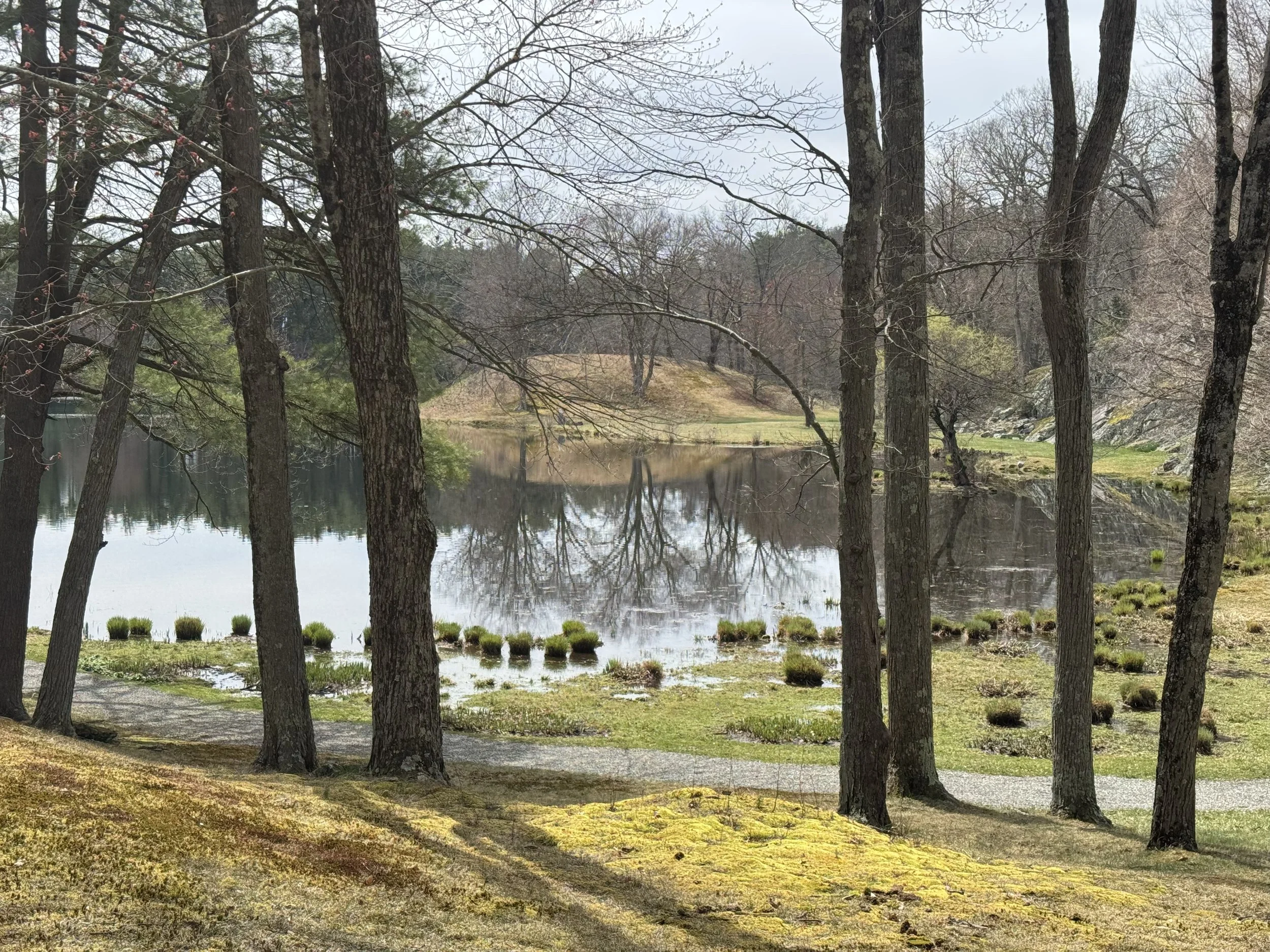 An Early Spring Naturalist Walk — Innisfree Garden