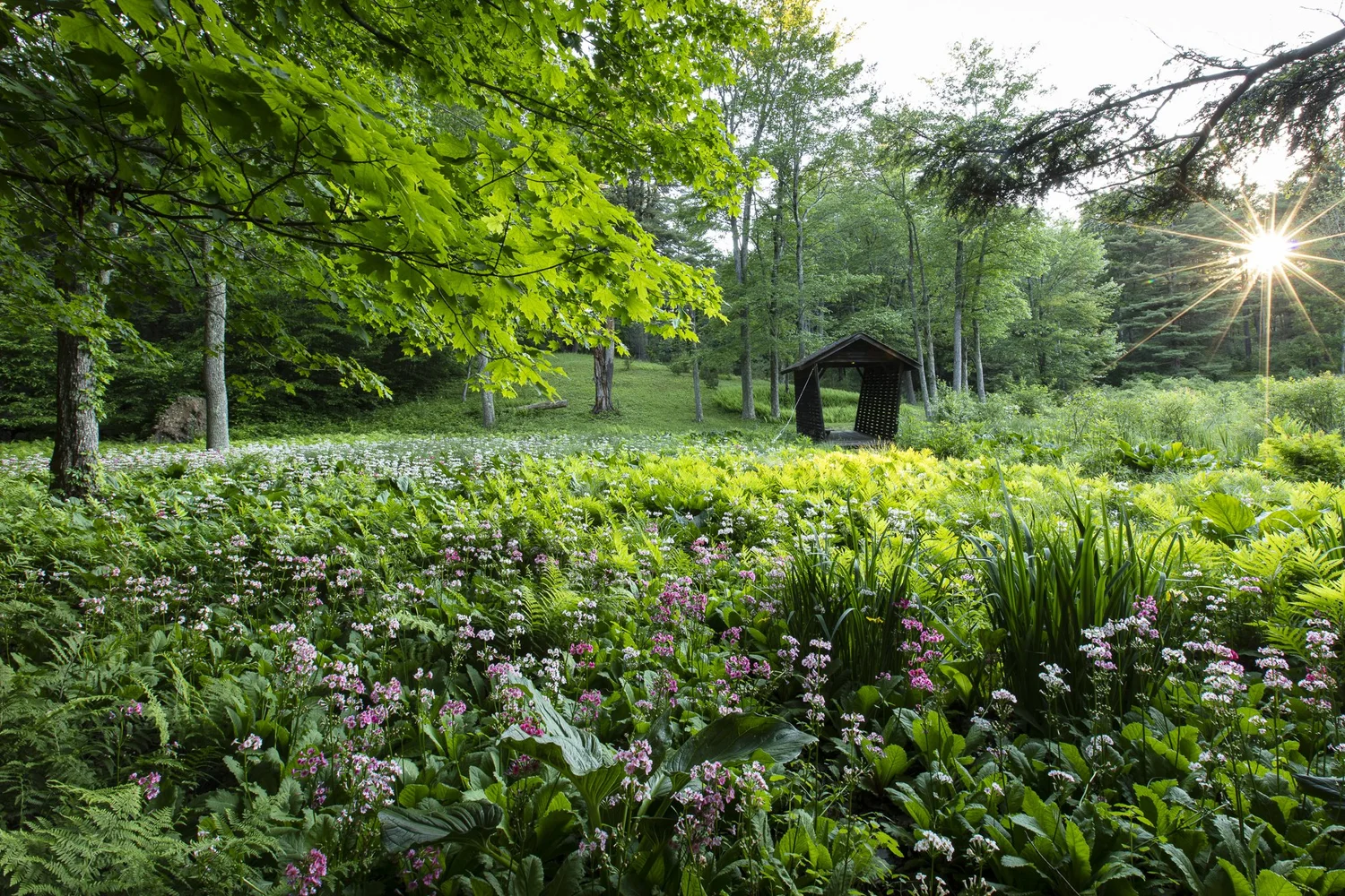 Innisfree Garden
