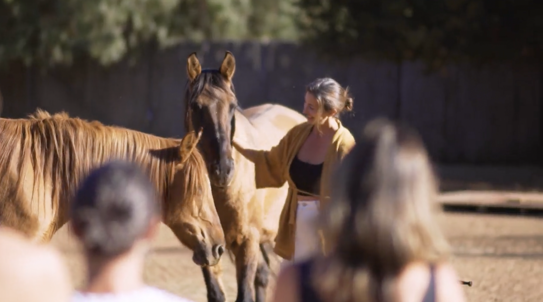 Screenshot 2026-01-06 at 2.47.38 PM.png