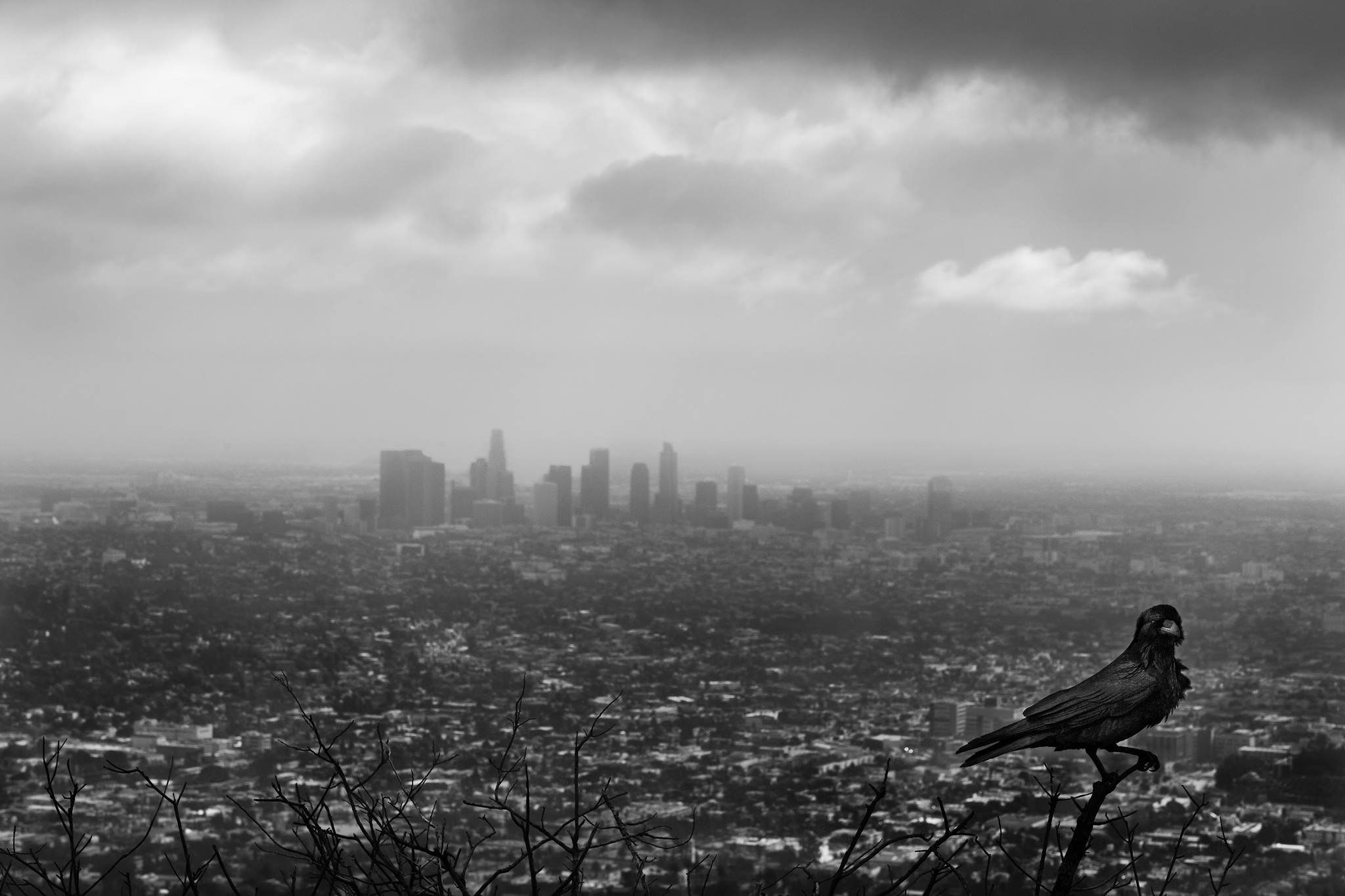 7 Los Angeles.jpg