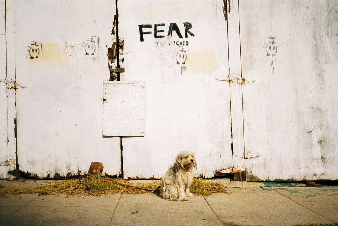 1.12.18 Rollie_Expired Film Olympus Josie 4.jpg