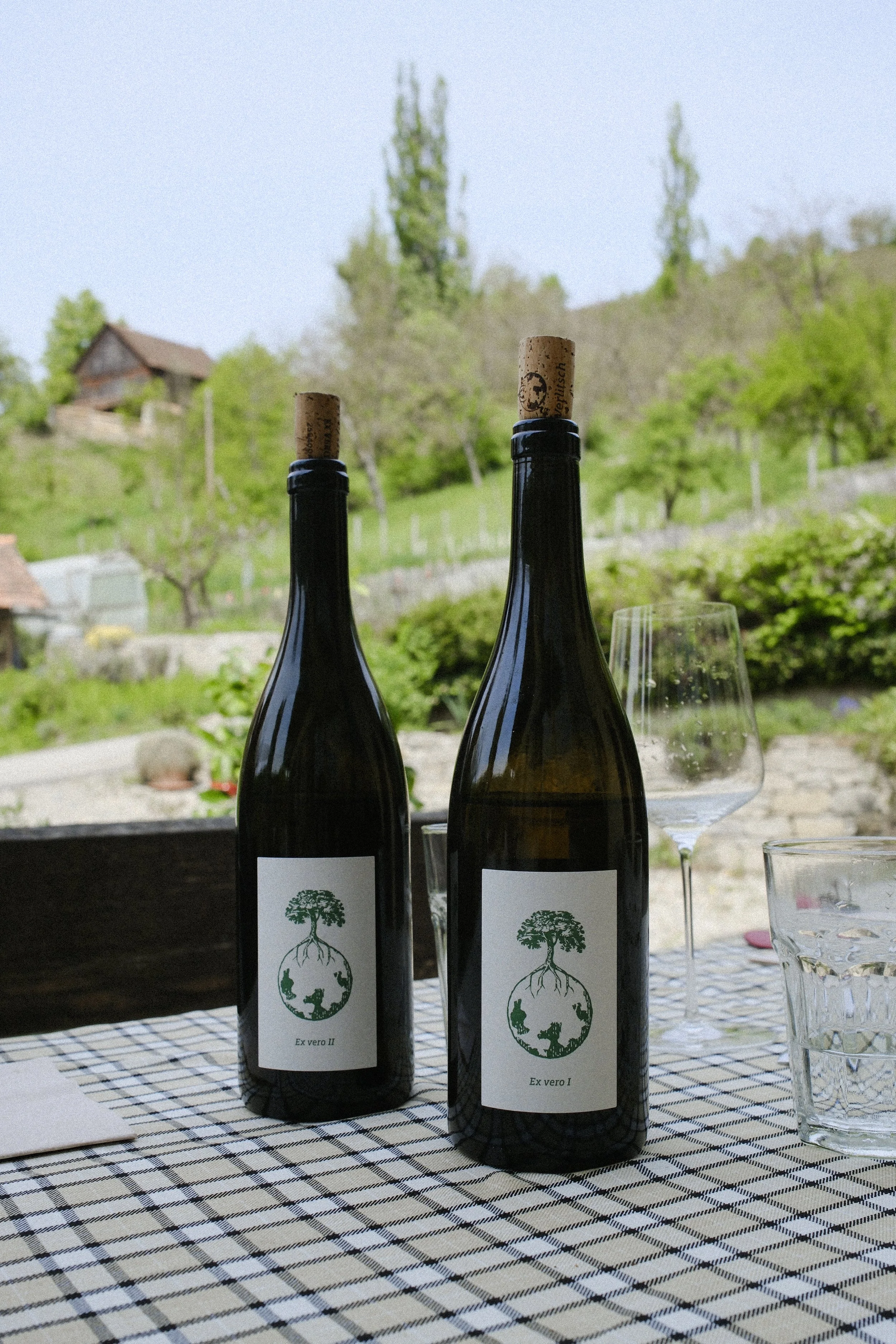 2026.05_KimPham_Werlitsch-19.jpg