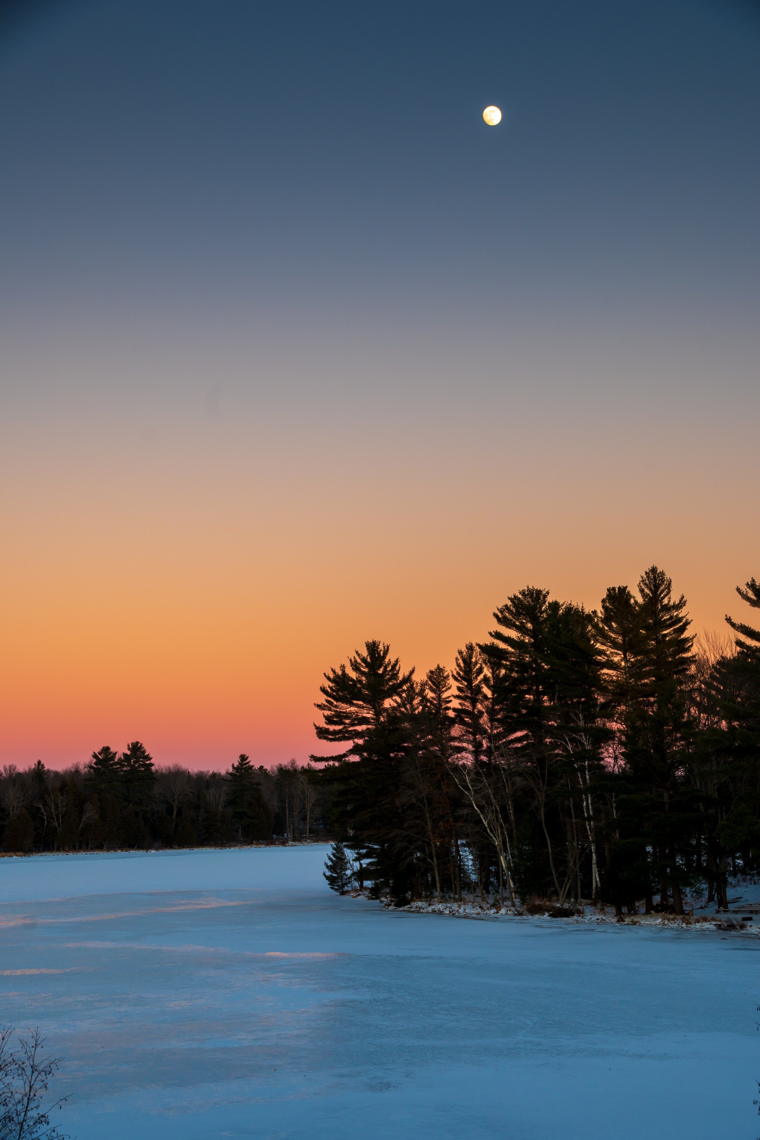 DSC_6535.jpg
