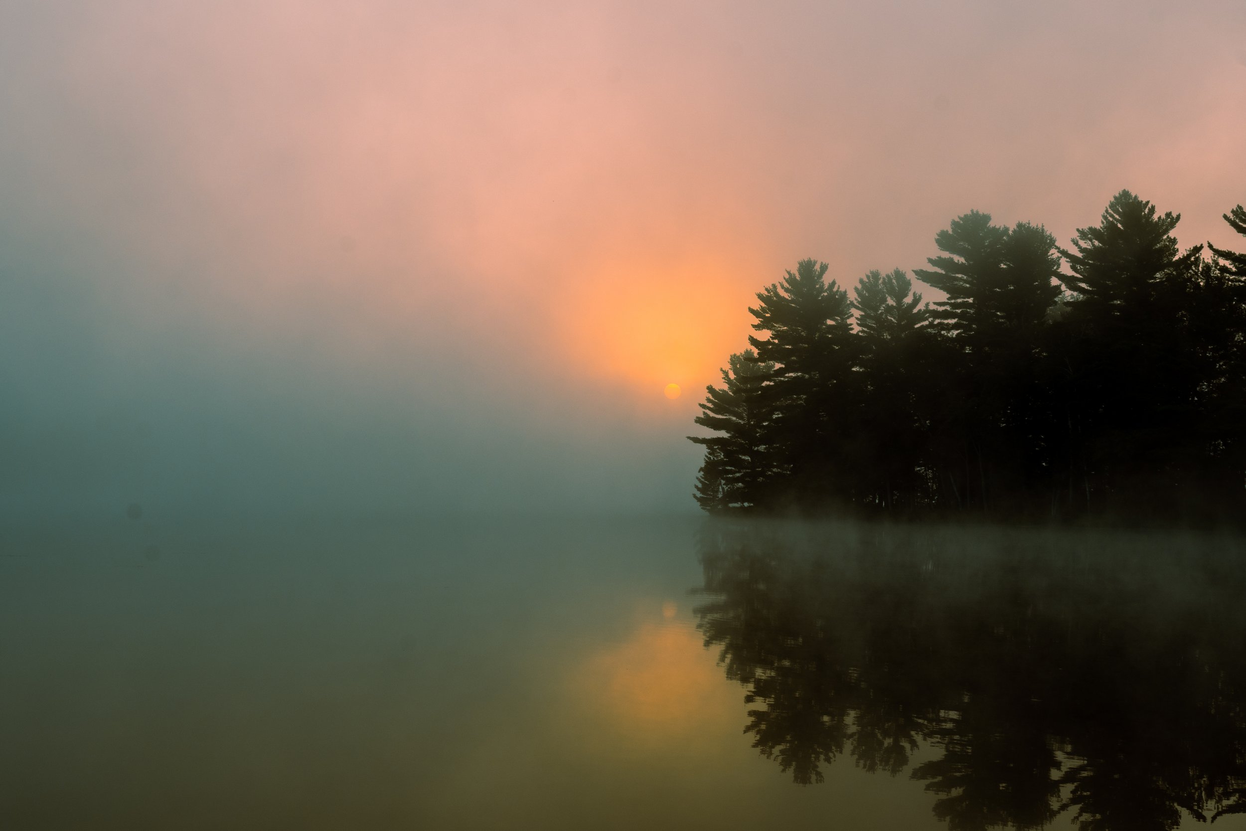 DSC_6178.jpg