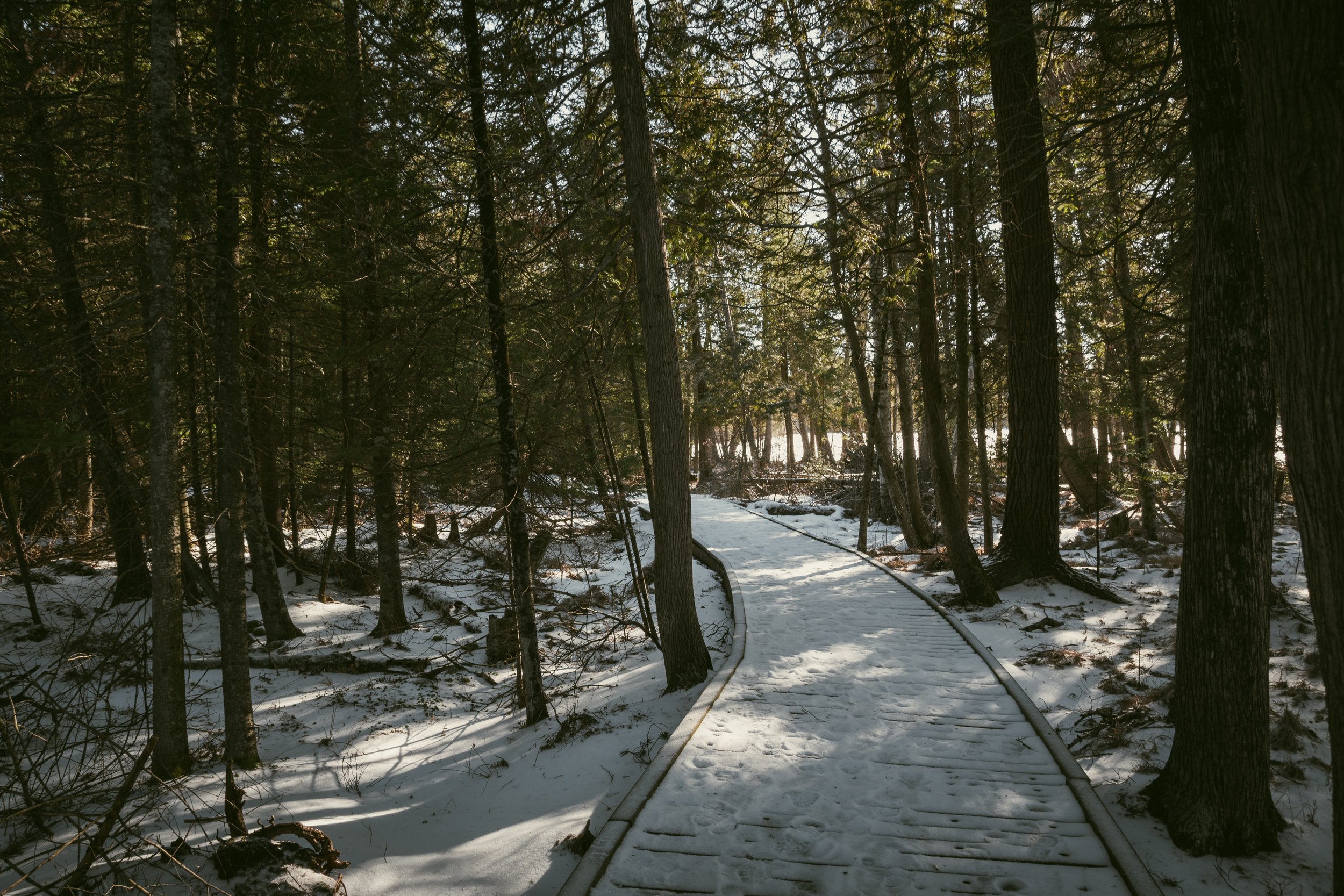 DSC_1758.jpg