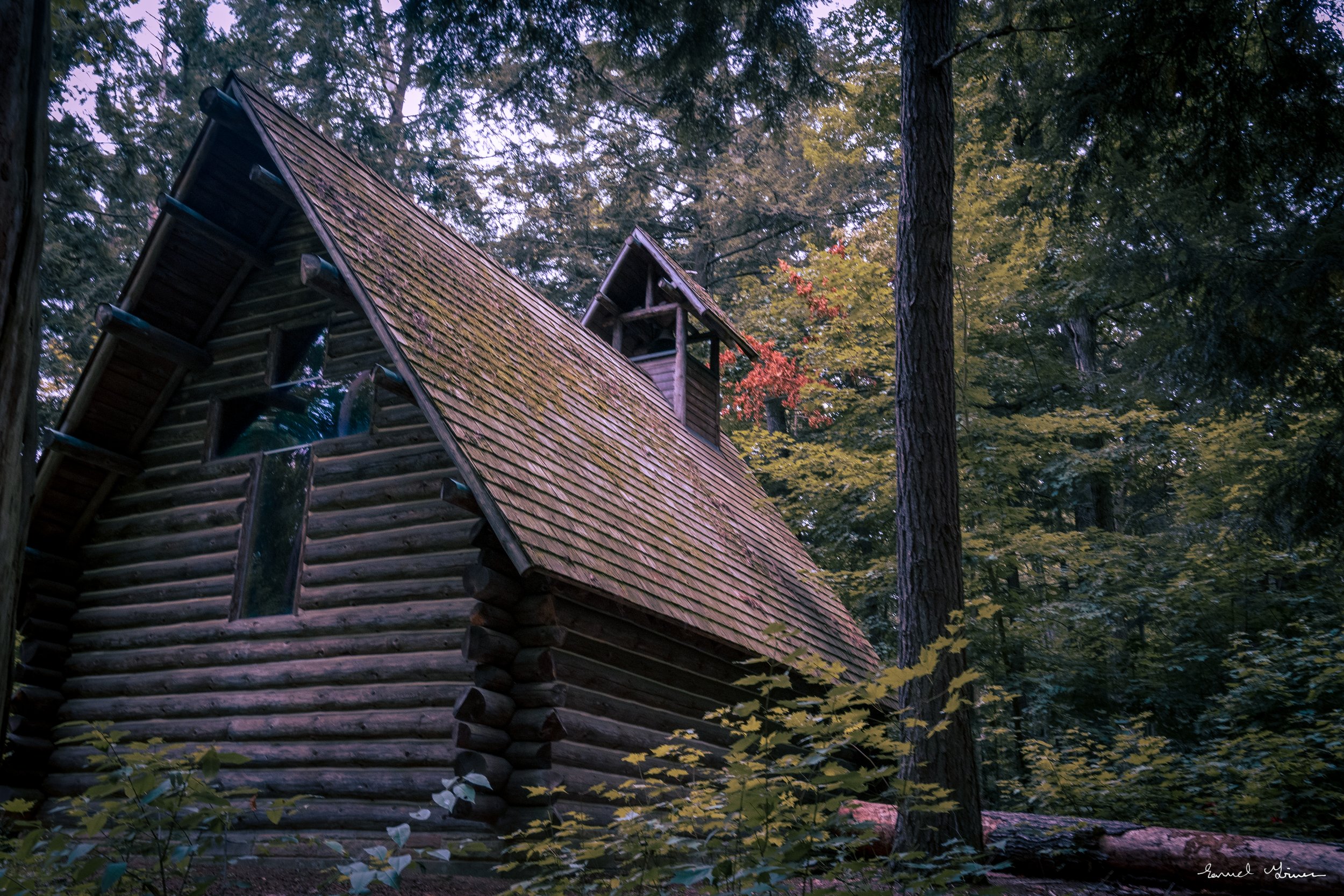 DSC_5717.jpg