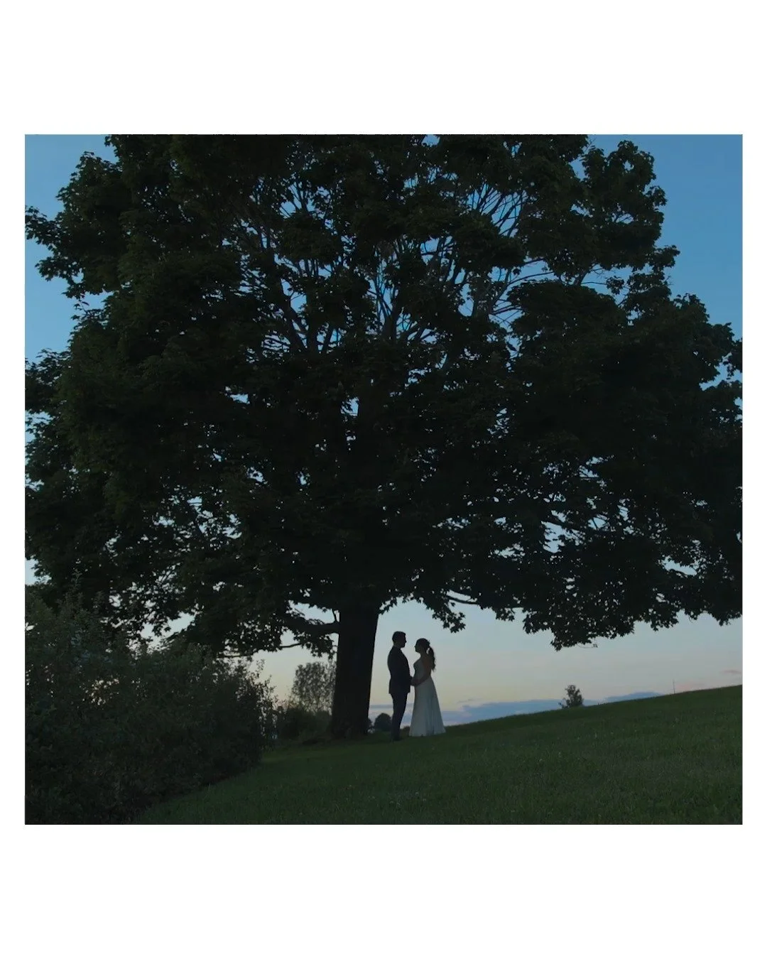 Some 'video snippets' of Noah and Adina's wedding at @lionrockfarm. One of my favorite weddings. 

#weddingvideo #weddingvideography #wedding #hudsonvalleywedding #hudsonvalley #hudsonvalleyweddings