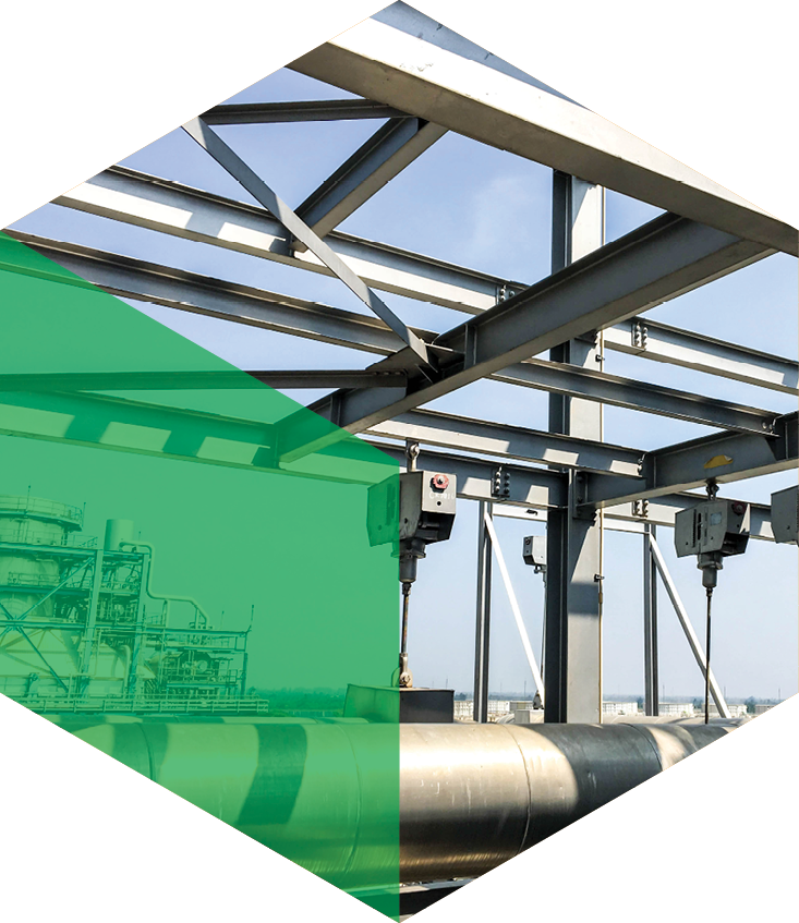 What We Do — Natural Technologies