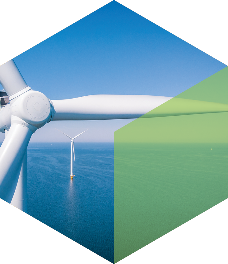 What We Do — Natural Technologies