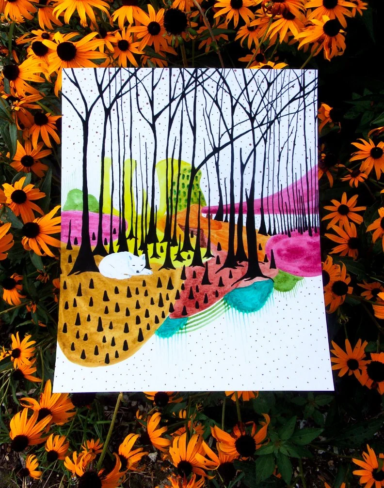 A Coyote's Dream - Archival Print