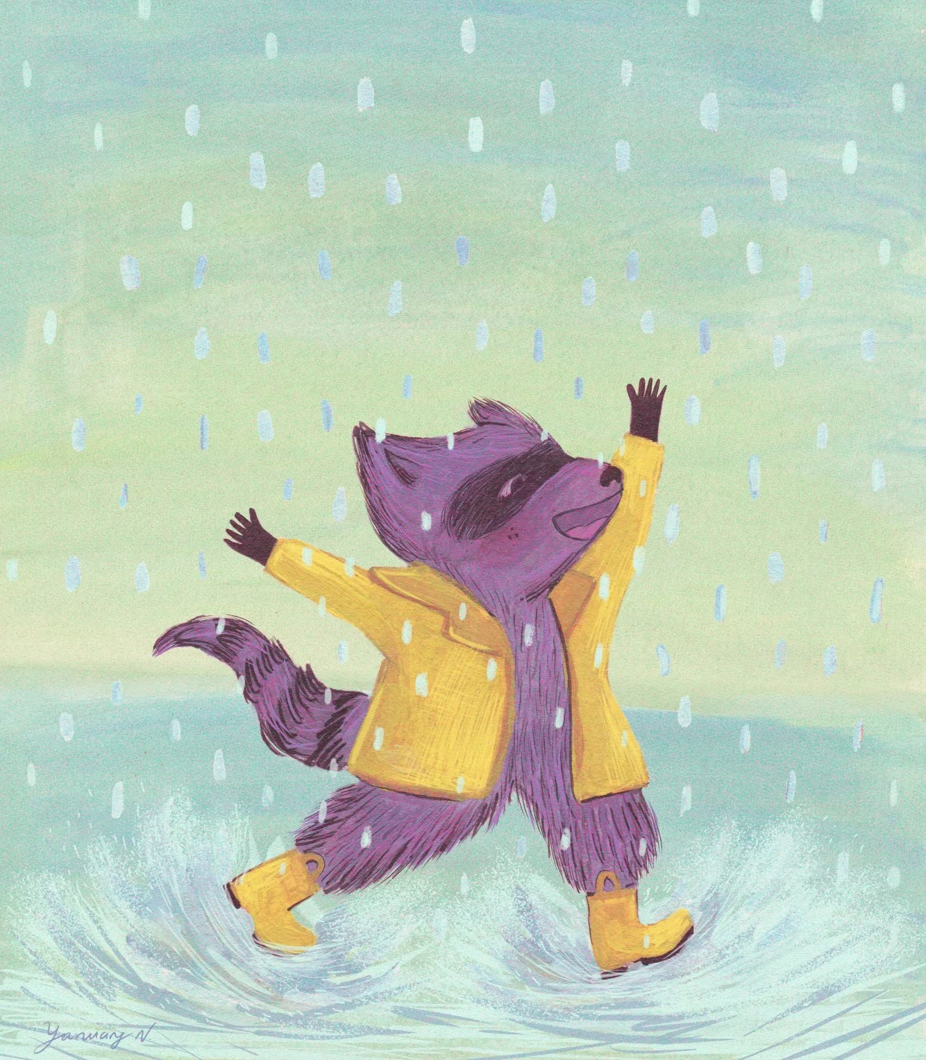 Racoon loves the rain_2025_yanuary_navarro.jpg