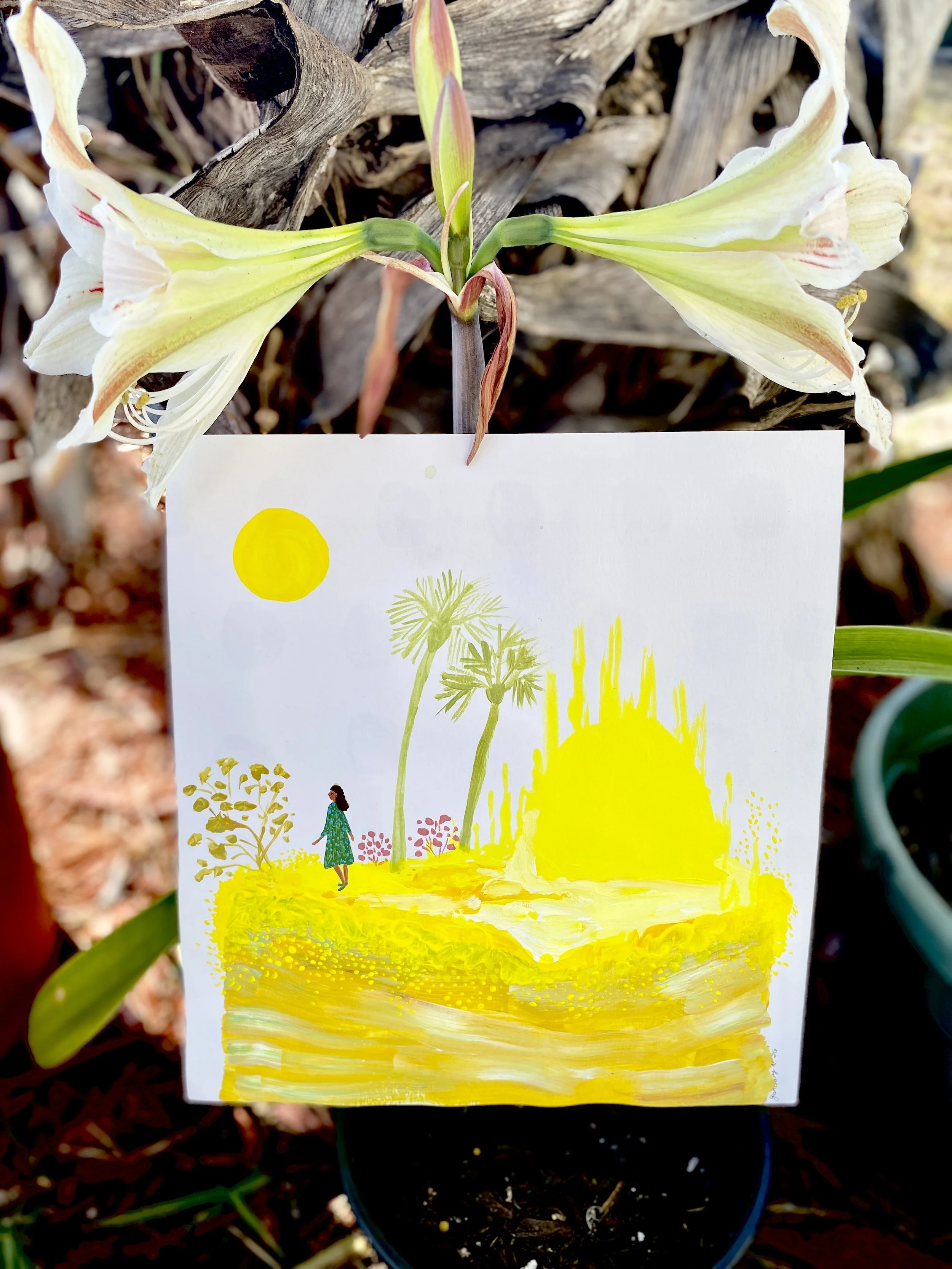 Lemon Bay Island_yanuary_navarro_2026-4.jpg