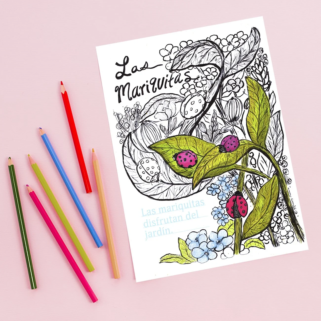 The Ladybugs - Writing & Coloring Lesson
