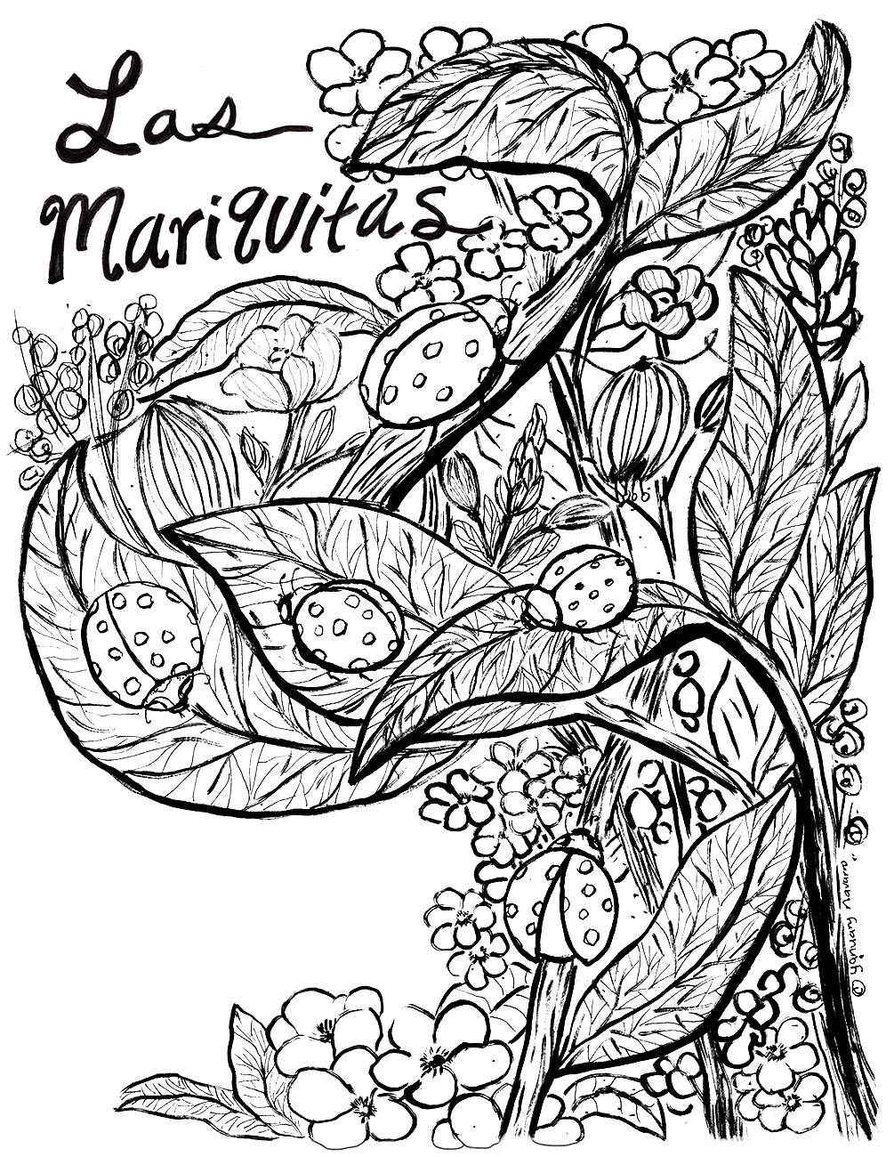 Las Mariquitas_yanuary-navarro-2026-web.jpg